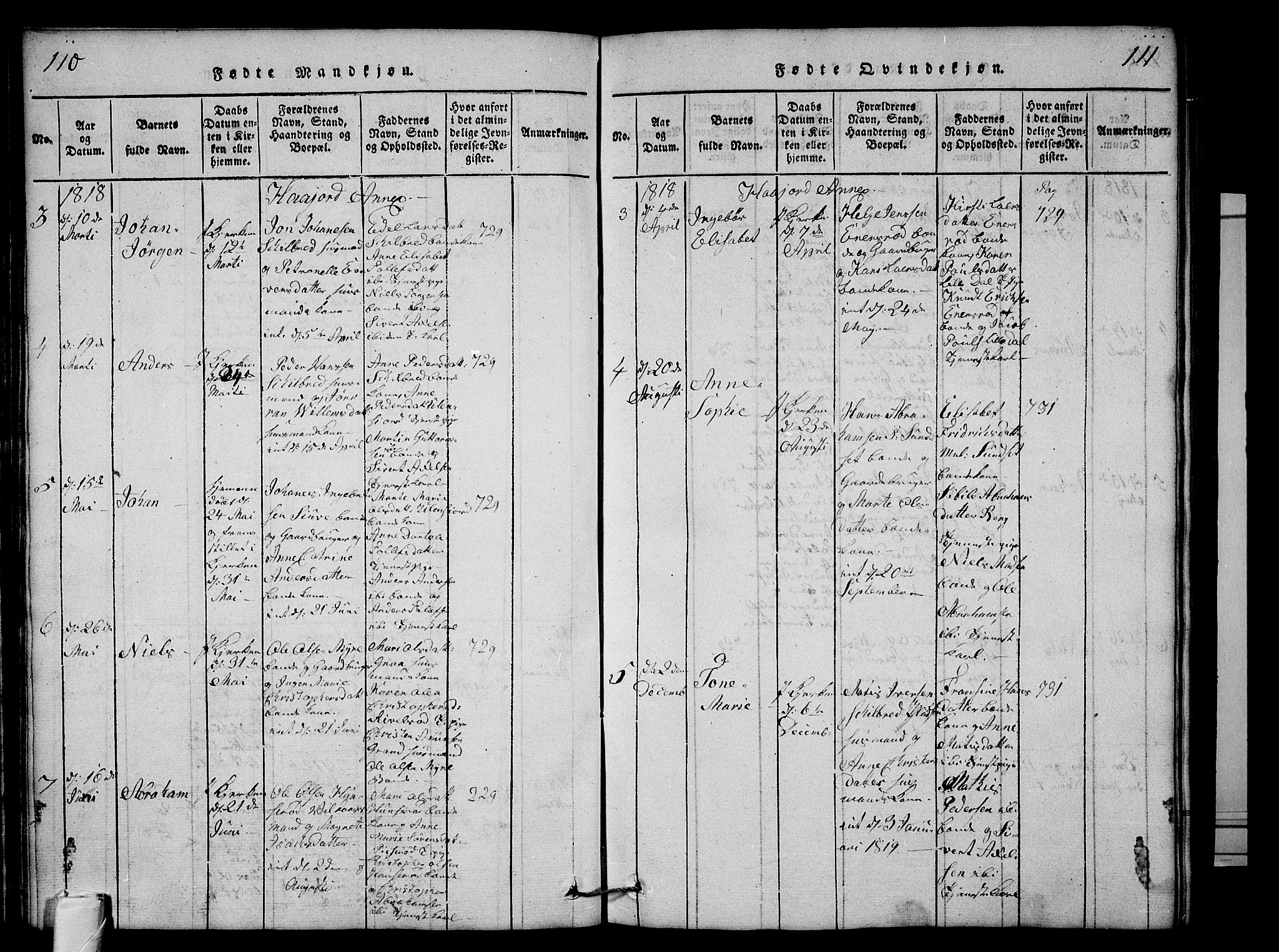 Andebu kirkebøker, AV/SAKO-A-336/G/Ga/L0001: Parish register (copy) no. I 1 /2, 1815-1823, p. 110-111