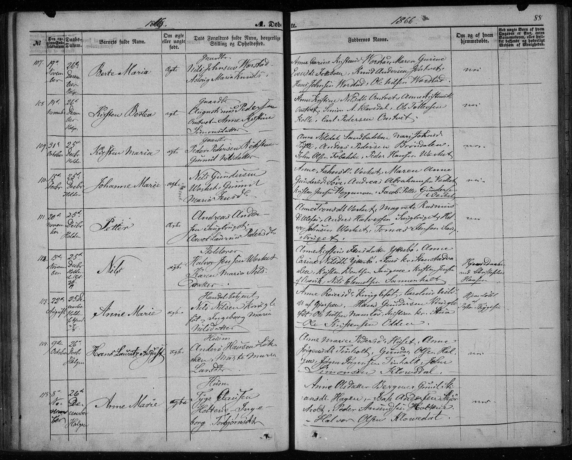 Holla kirkebøker, SAKO/A-272/F/Fa/L0006: Parish register (official) no. 6, 1861-1869, p. 88