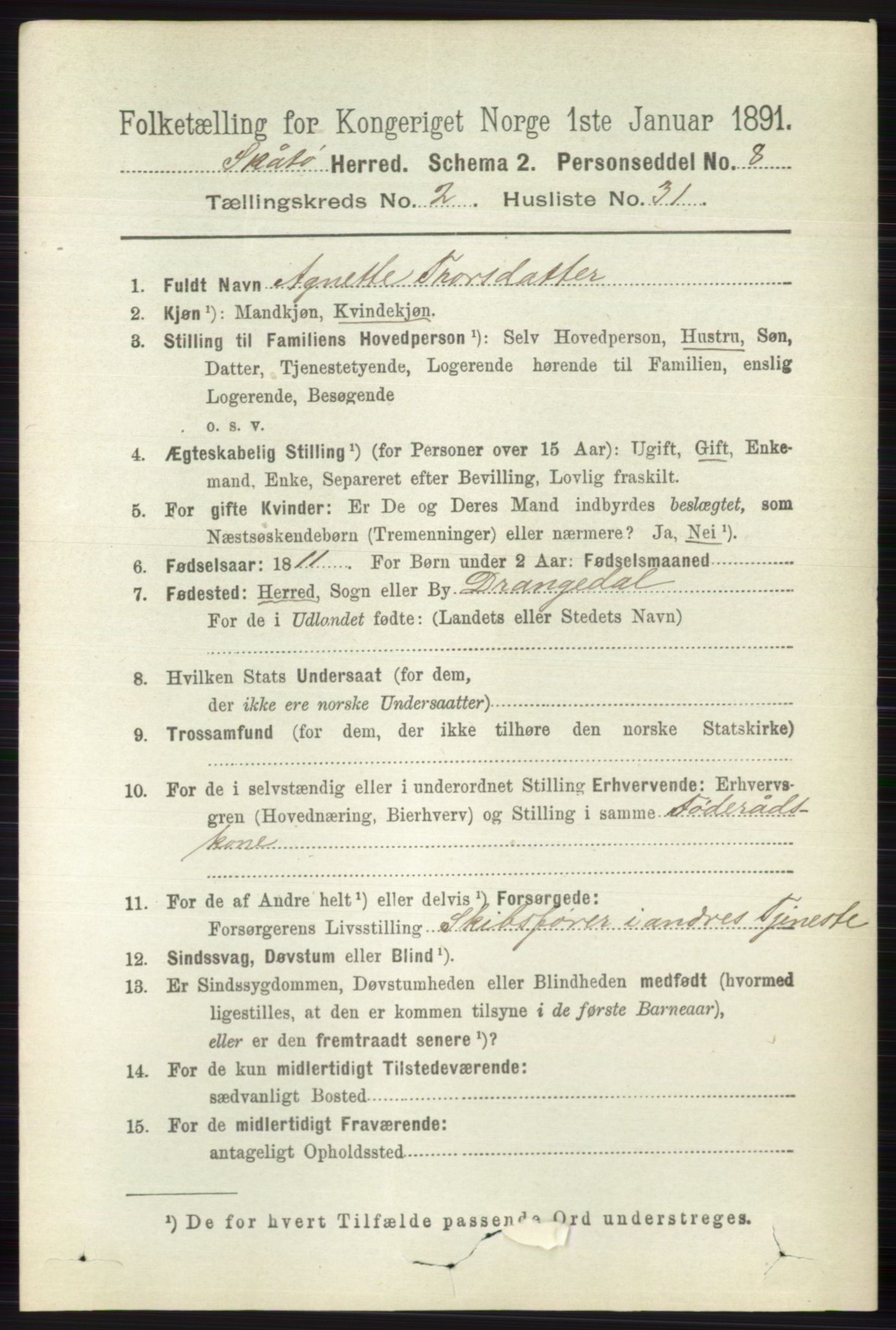 RA, 1891 census for 0815 Skåtøy, 1891, p. 594