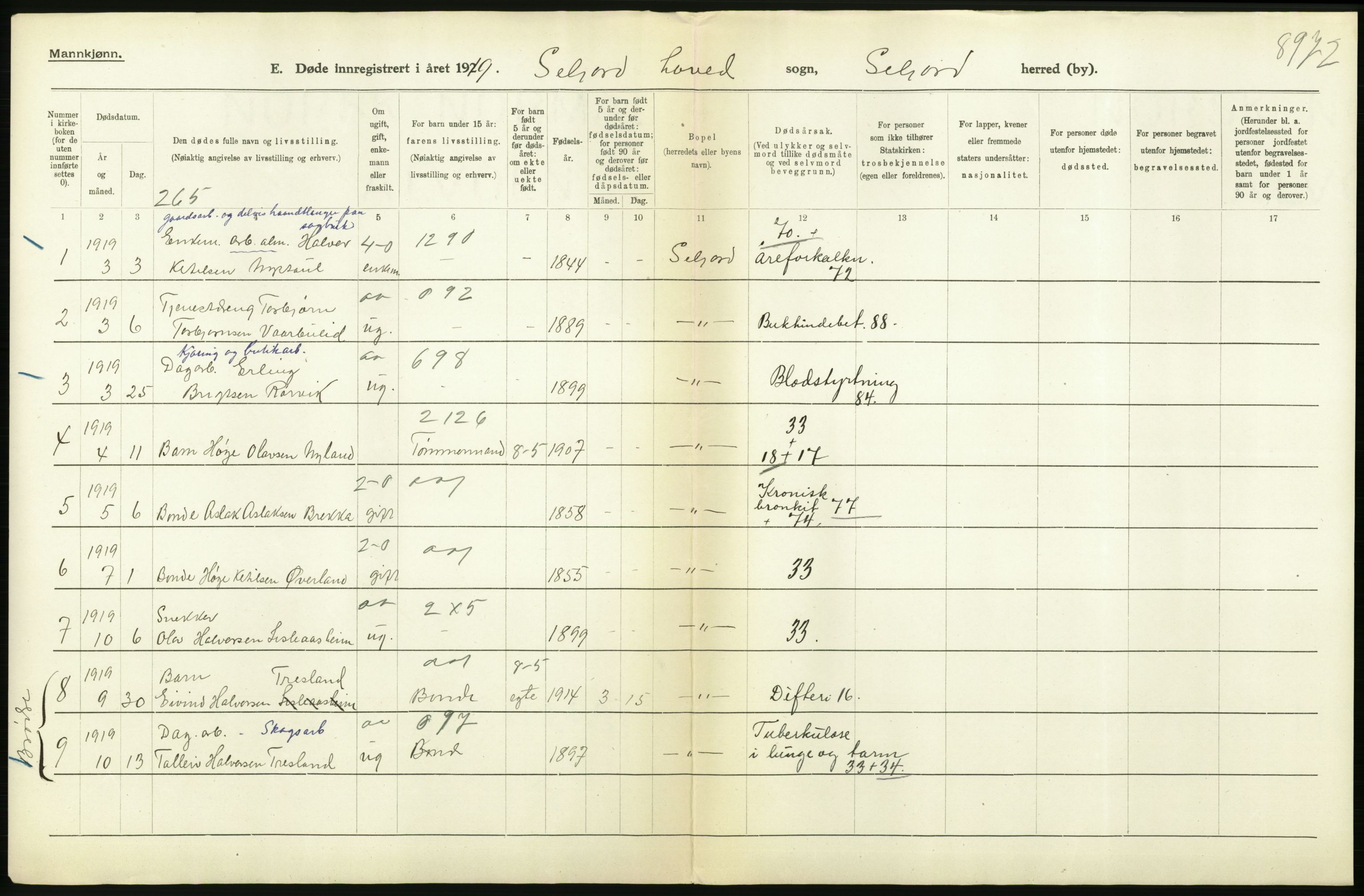 Statistisk sentralbyrå, Sosiodemografiske emner, Befolkning, AV/RA-S-2228/D/Df/Dfb/Dfbi/L0023: Telemark fylke: Døde. Bygder og byer., 1919, p. 140