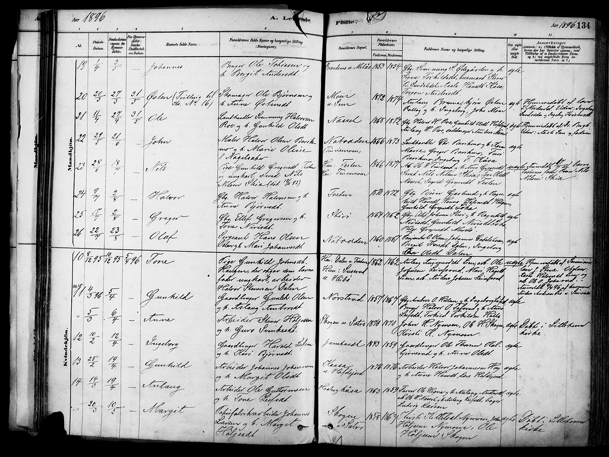 Heddal kirkebøker, SAKO/A-268/F/Fa/L0008: Parish register (official) no. I 8, 1878-1903, p. 134