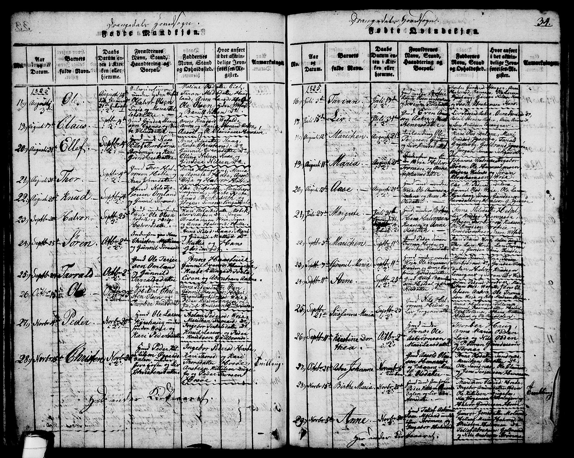 Drangedal kirkebøker, SAKO/A-258/G/Ga/L0001: Parish register (copy) no. I 1 /1, 1814-1856, p. 34