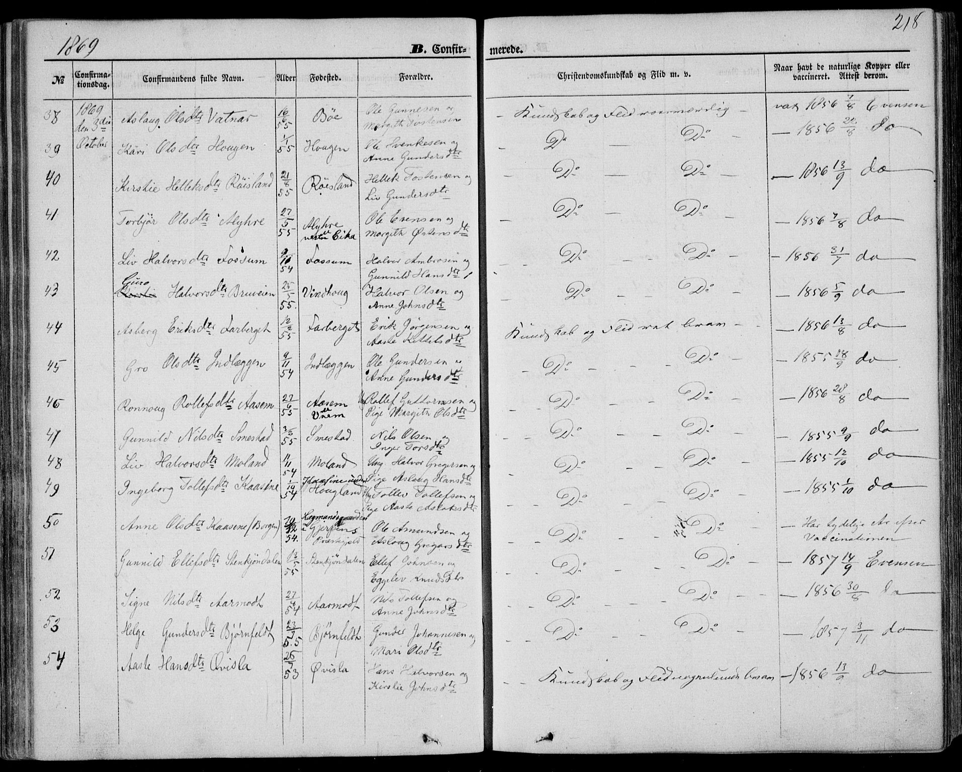 Bø kirkebøker, SAKO/A-257/F/Fa/L0009: Parish register (official) no. 9, 1862-1879, p. 218