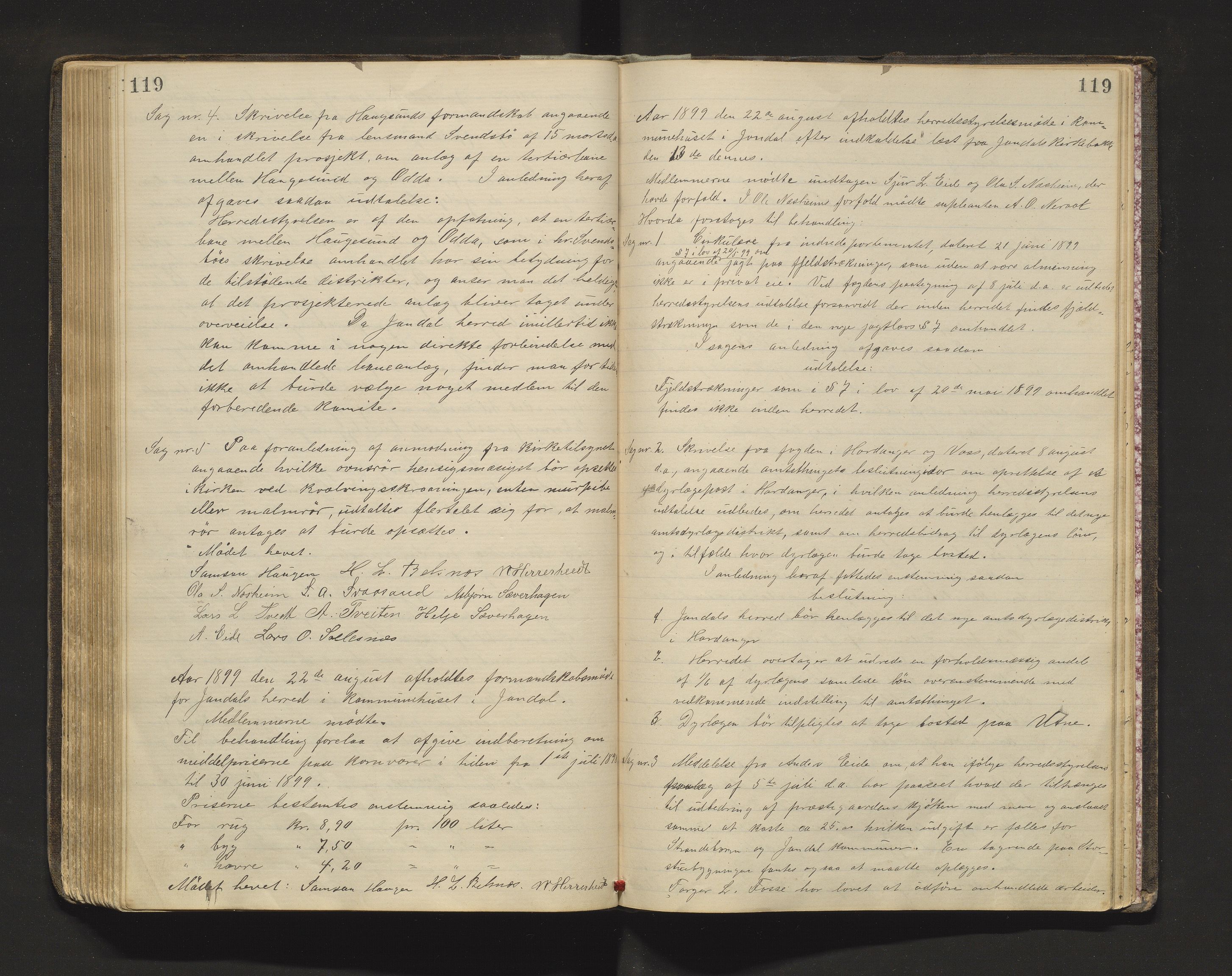 Jondal kommune. Formannskapet, IKAH/1227-021/A/Aa/Aaa/L0002: Møtebok for formannskap og kommunestyre, 1885-1901, p. 119