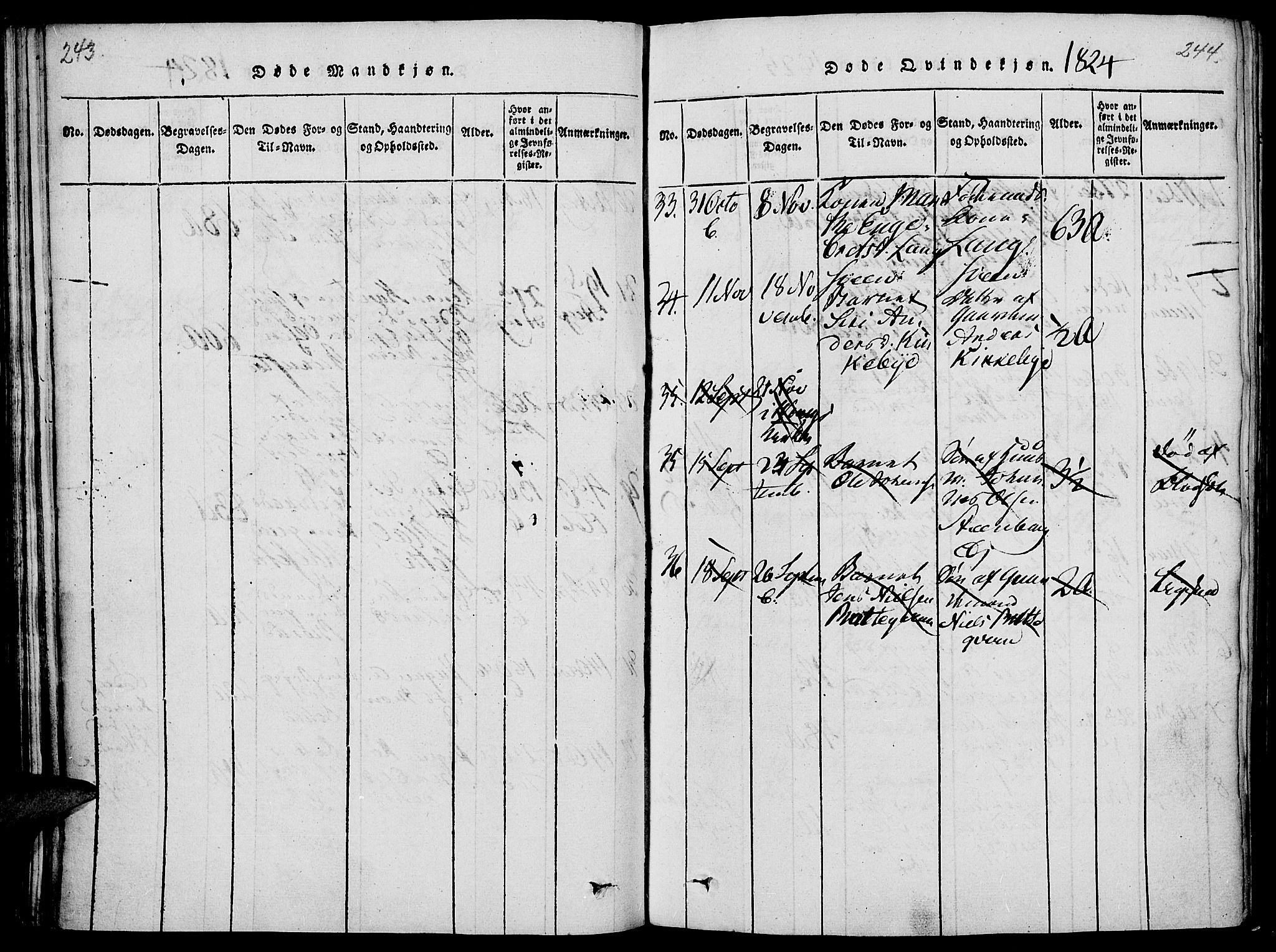 Vang prestekontor, Hedmark, AV/SAH-PREST-008/H/Ha/Haa/L0008: Parish register (official) no. 8, 1815-1826, p. 243-244