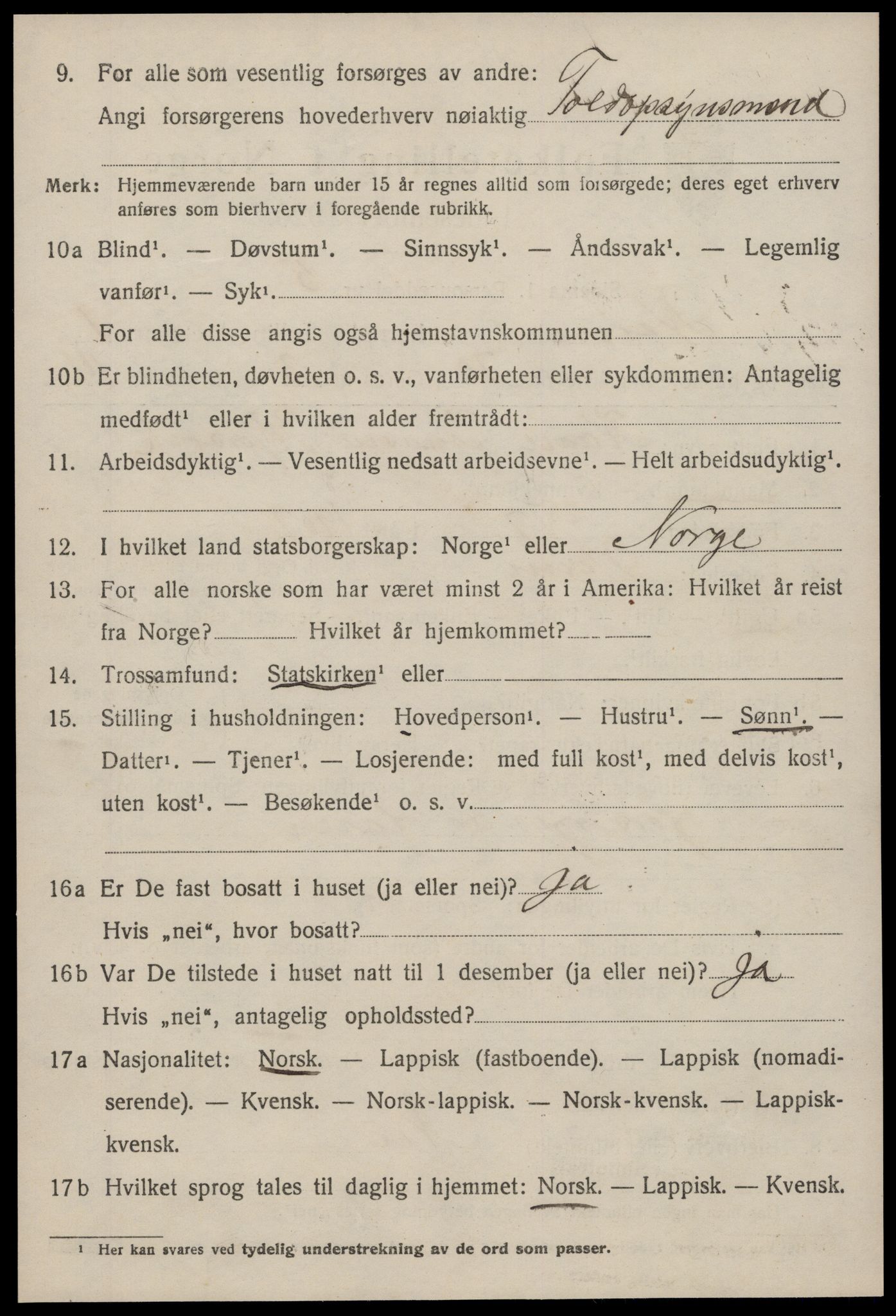 SAT, 1920 census for Heim, 1920, p. 1368