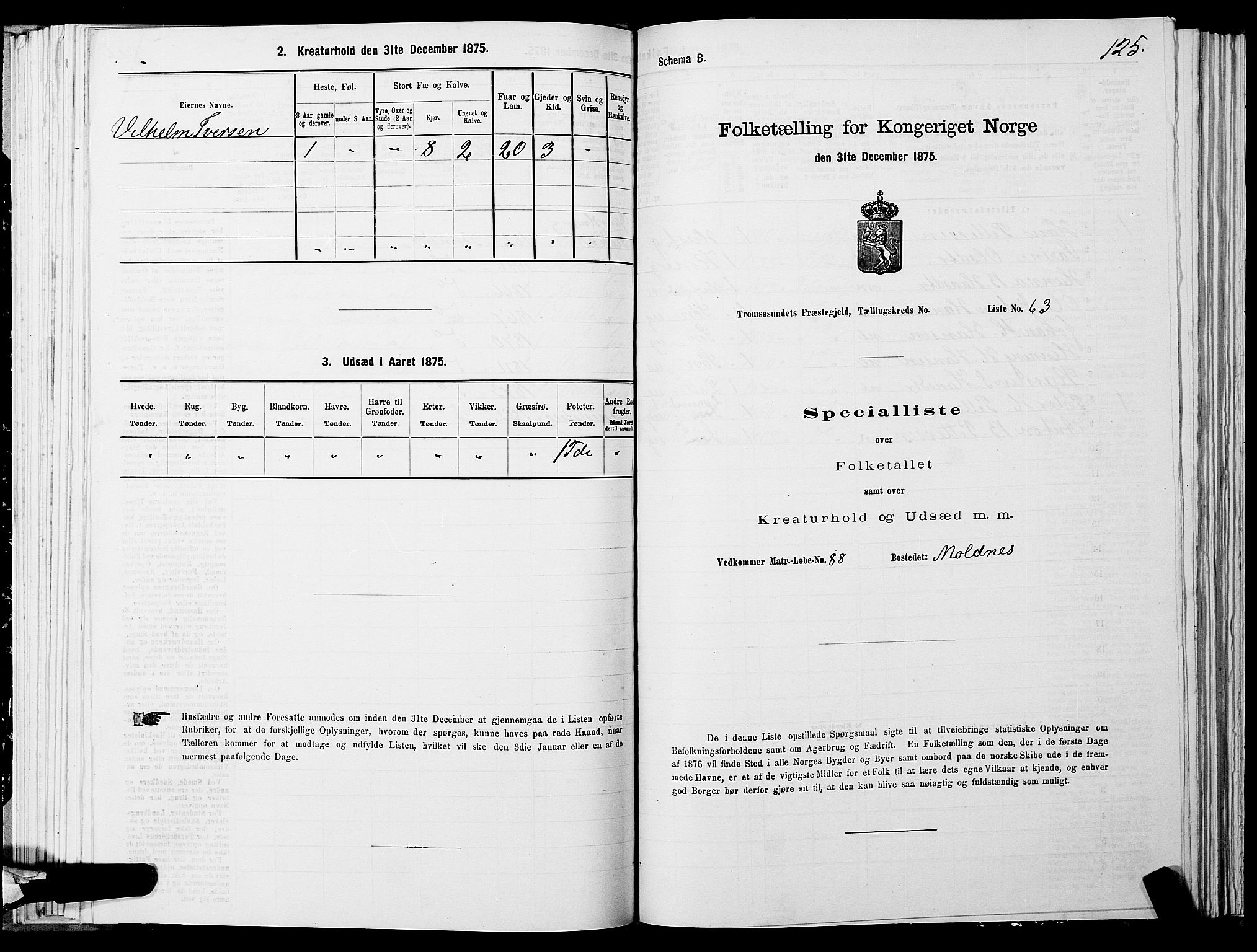 SATØ, 1875 census for 1934P Tromsøysund, 1875, p. 4125