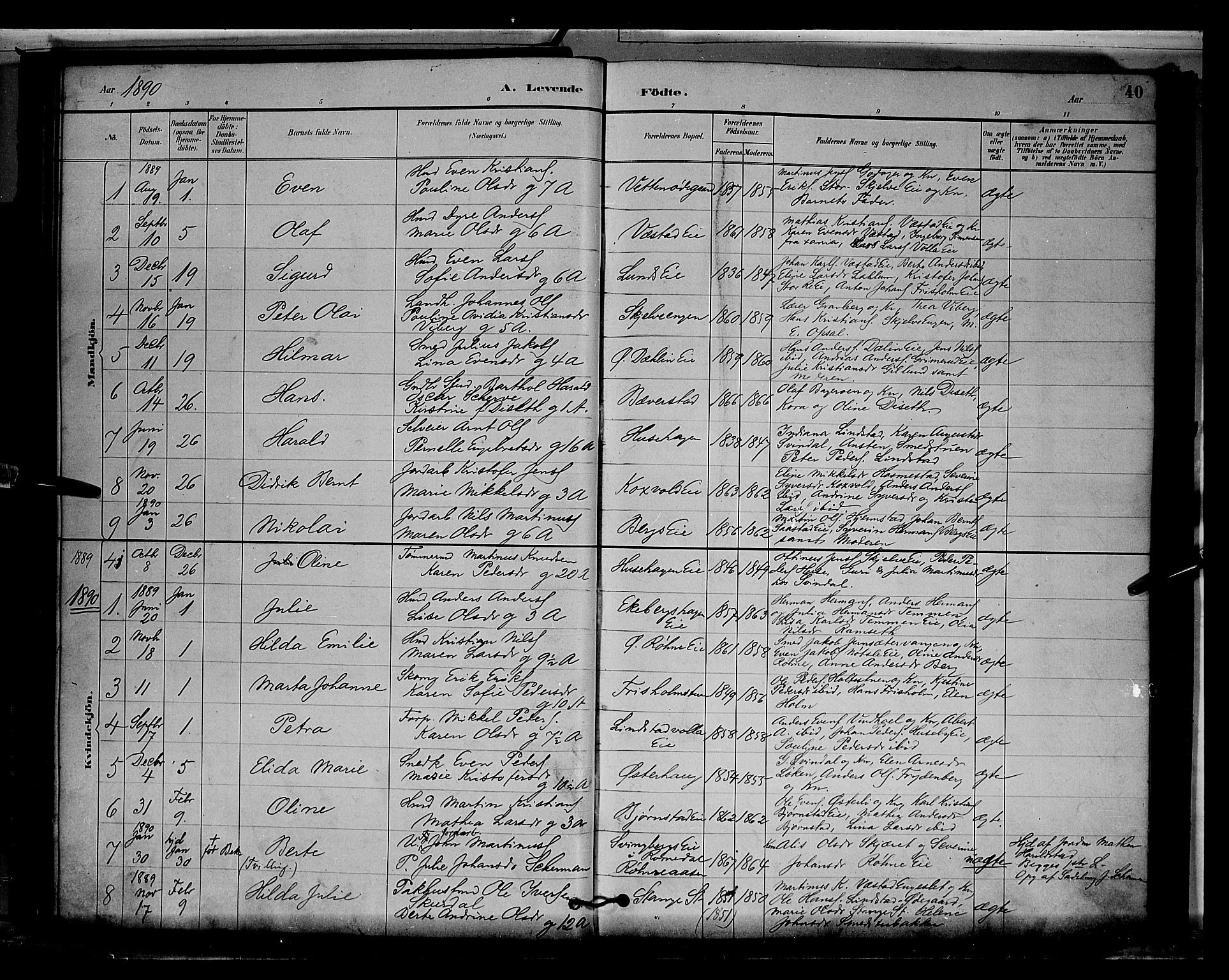 Stange prestekontor, AV/SAH-PREST-002/L/L0009: Parish register (copy) no. 9, 1883-1899, p. 40