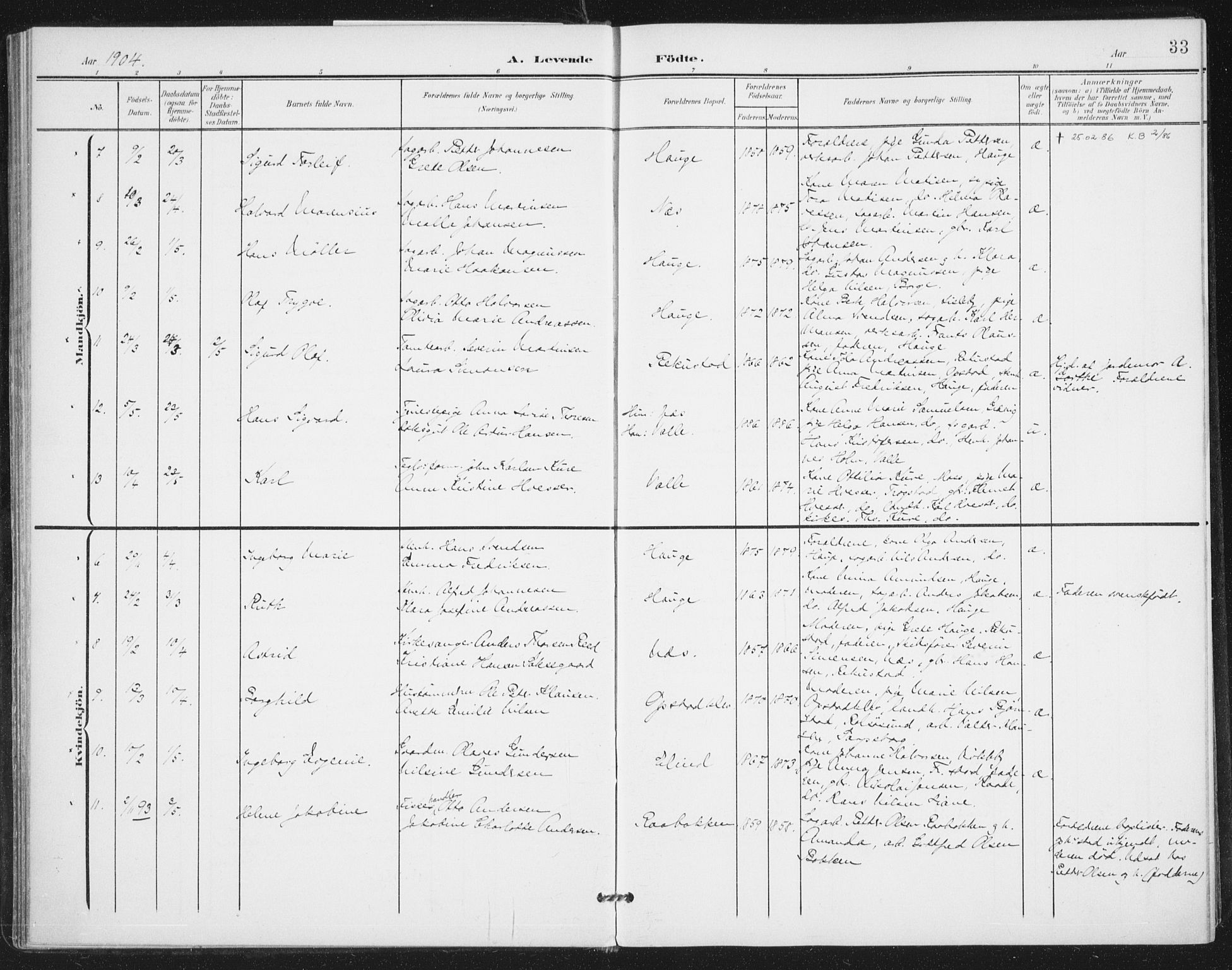 Rolvsøy prestekontor Kirkebøker, AV/SAO-A-2004/F/Fa/L0001: Parish register (official) no. 1, 1901-1909, p. 33