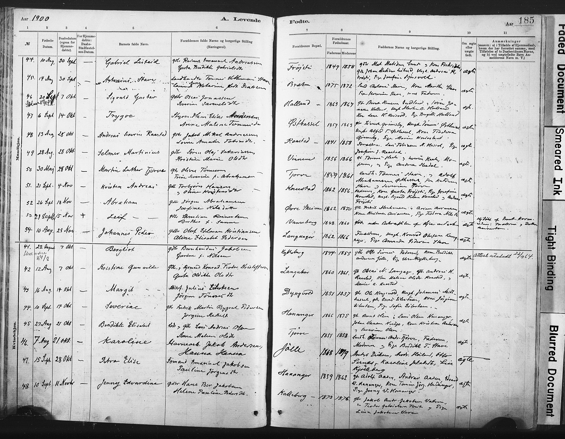 Lista sokneprestkontor, AV/SAK-1111-0027/F/Fa/L0012: Parish register (official) no. A 12, 1879-1903, p. 185