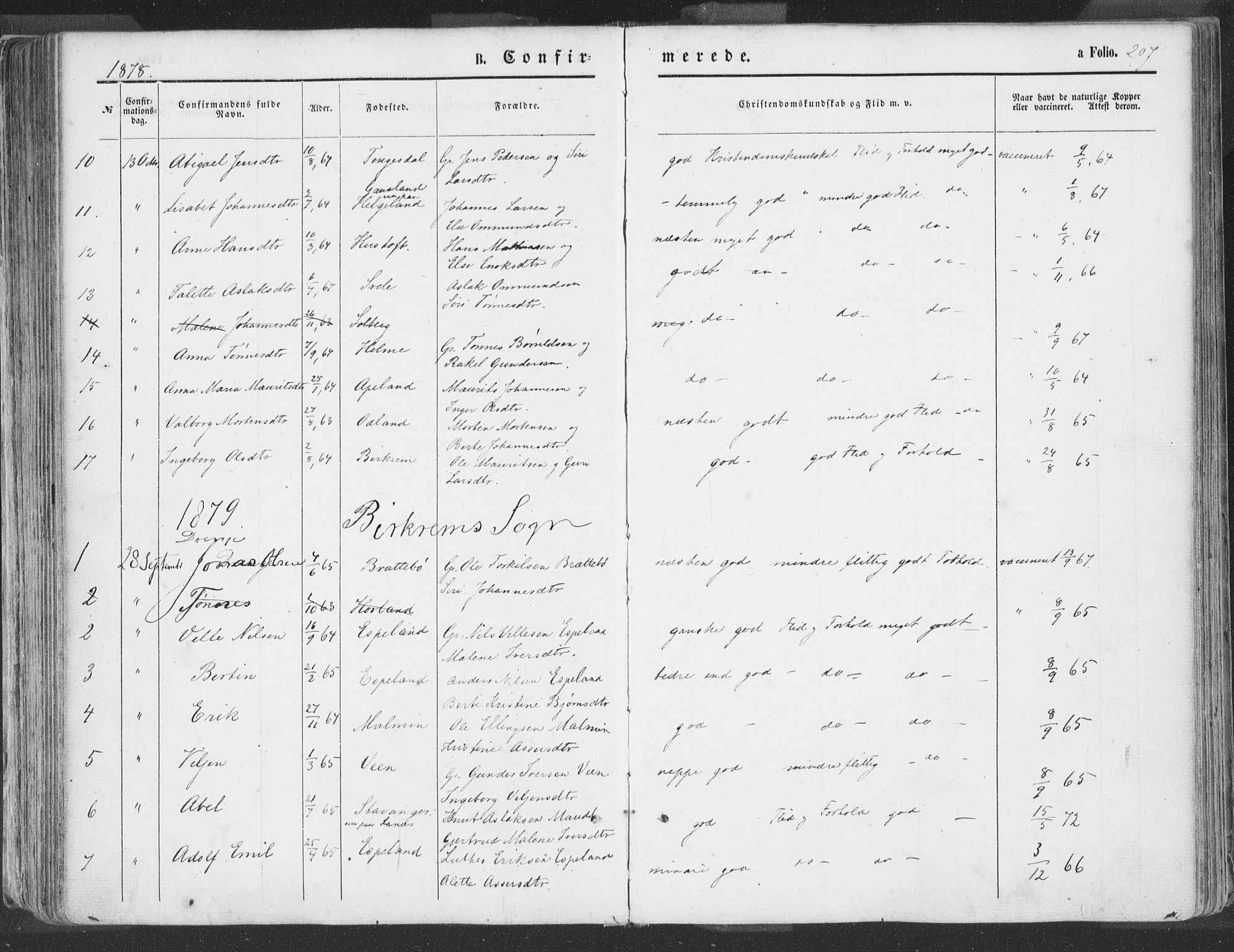 Helleland sokneprestkontor, SAST/A-101810: Parish register (official) no. A 7.1, 1863-1886, p. 207