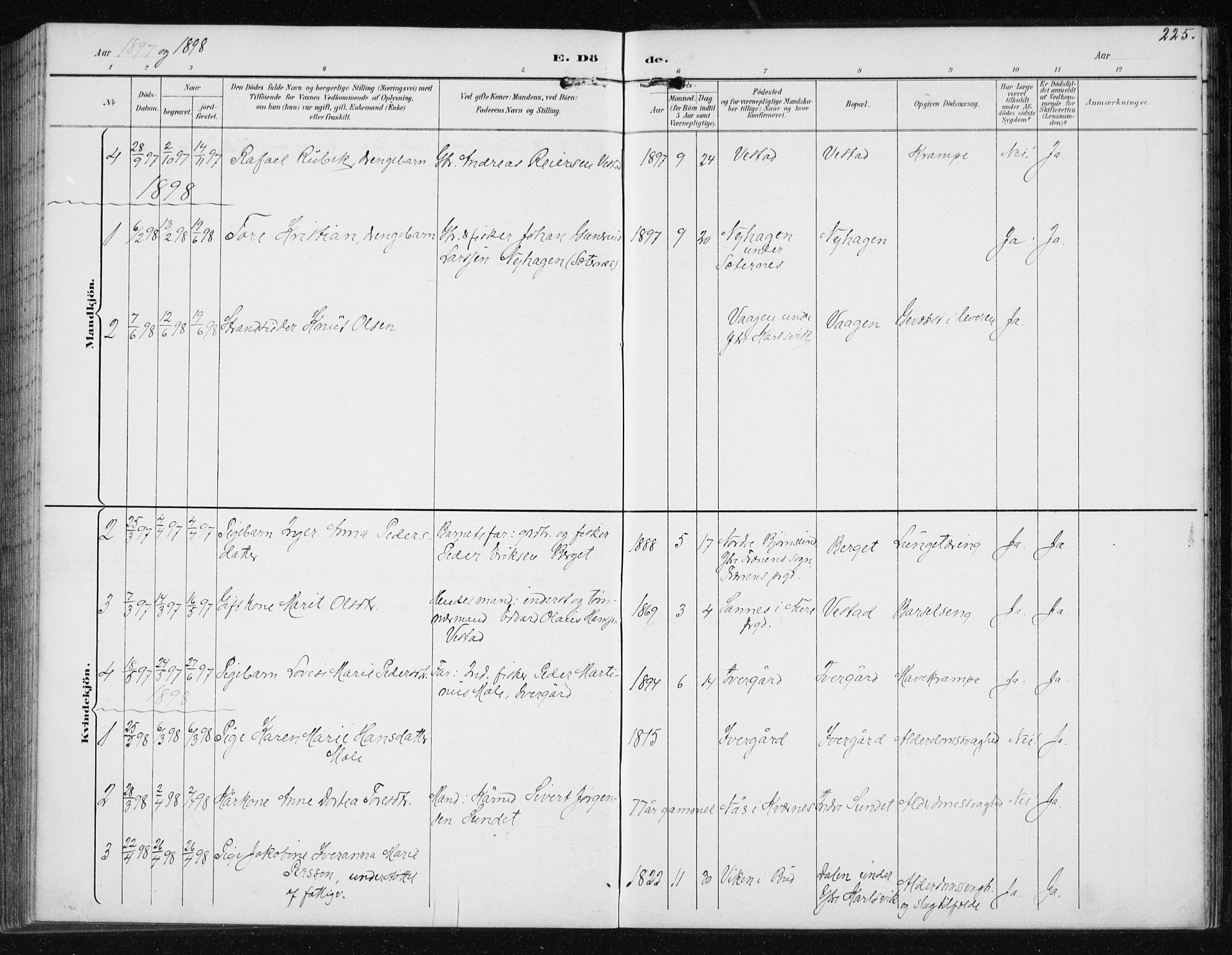 Ministerialprotokoller, klokkerbøker og fødselsregistre - Møre og Romsdal, AV/SAT-A-1454/566/L0773: Parish register (copy) no. 566C02, 1892-1909, p. 225