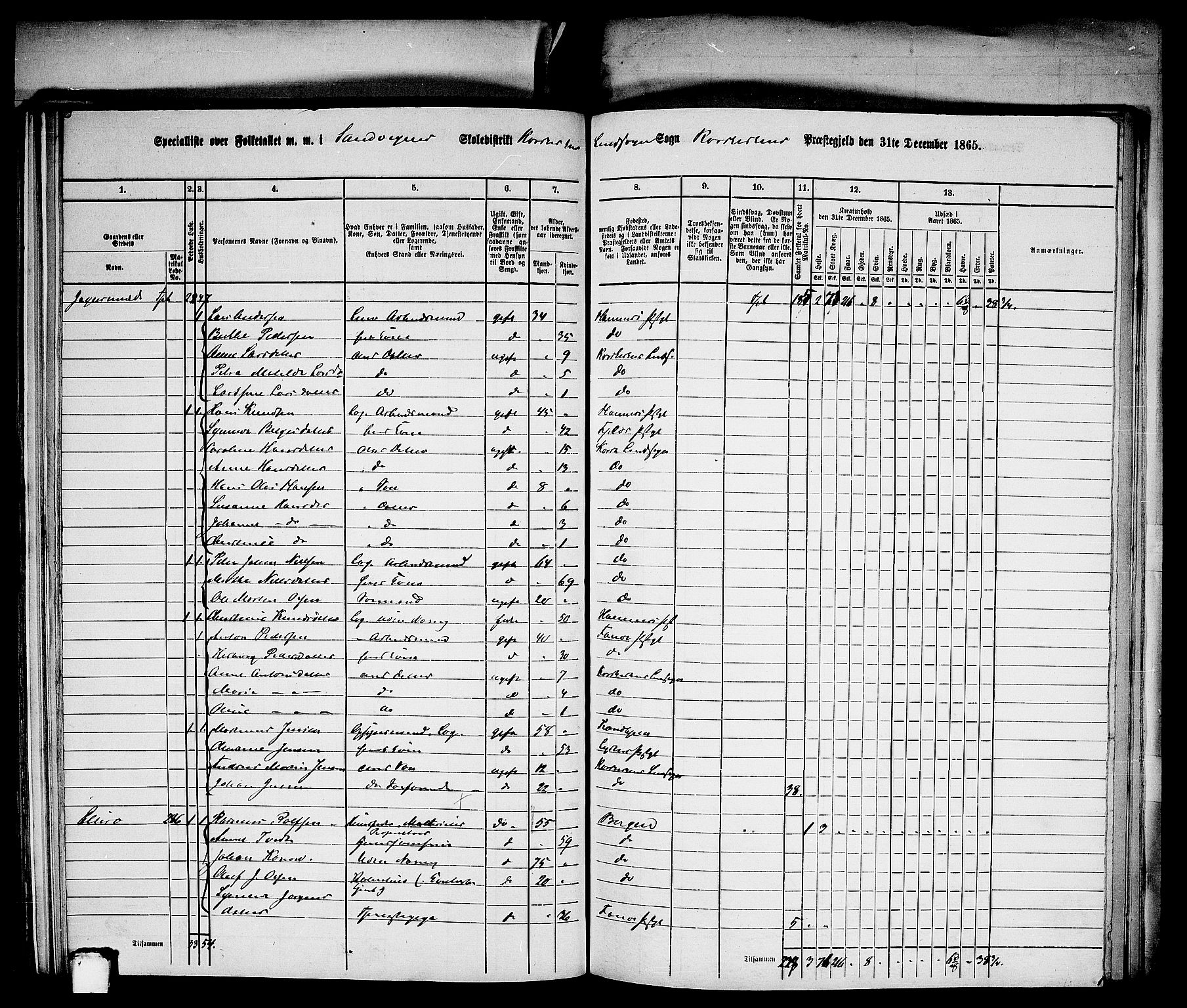 RA, 1865 census for Bergen Landdistrikt/Domkirken og Korskirken, 1865, p. 324