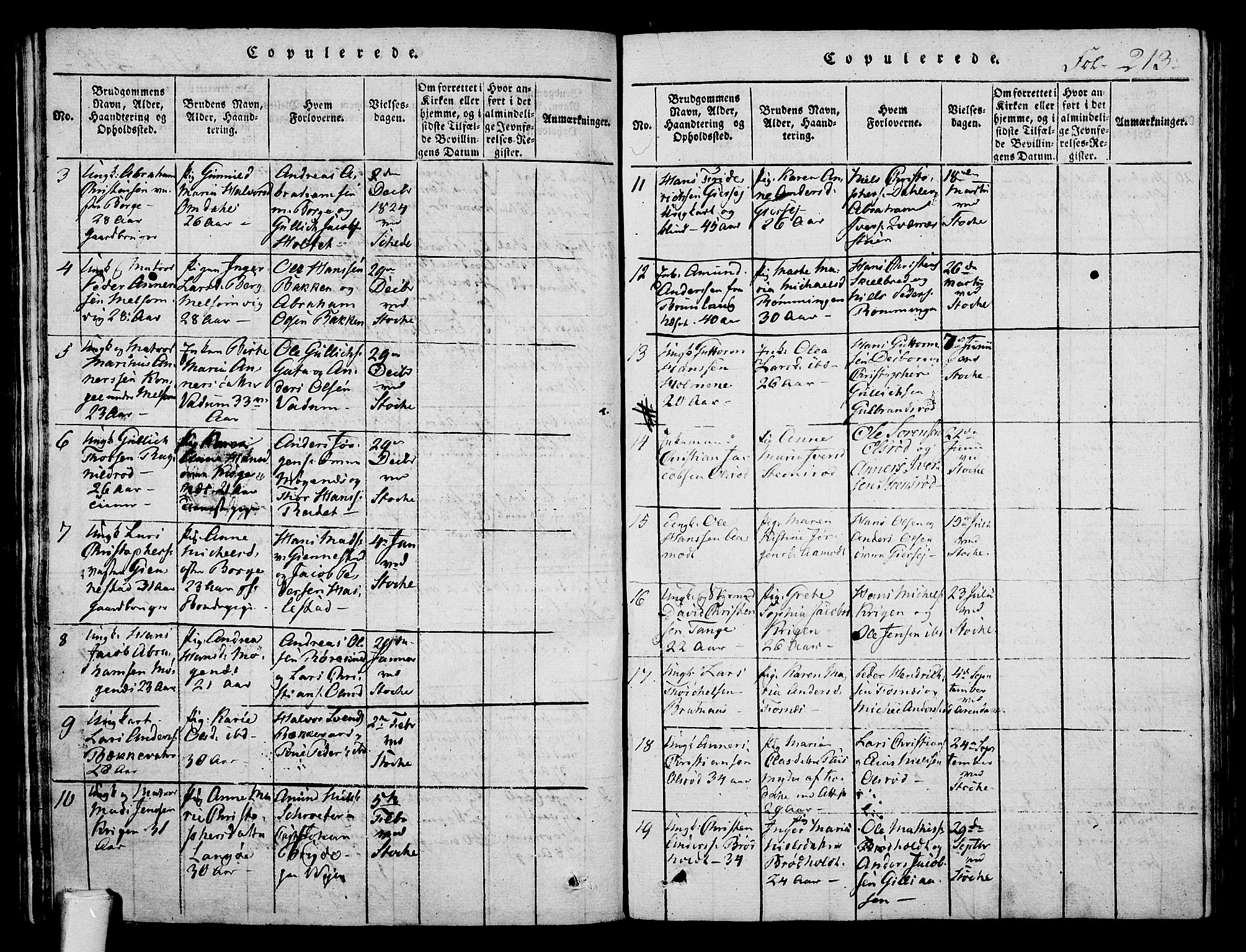 Stokke kirkebøker, AV/SAKO-A-320/F/Fa/L0005: Parish register (official) no. I 5, 1815-1826, p. 213