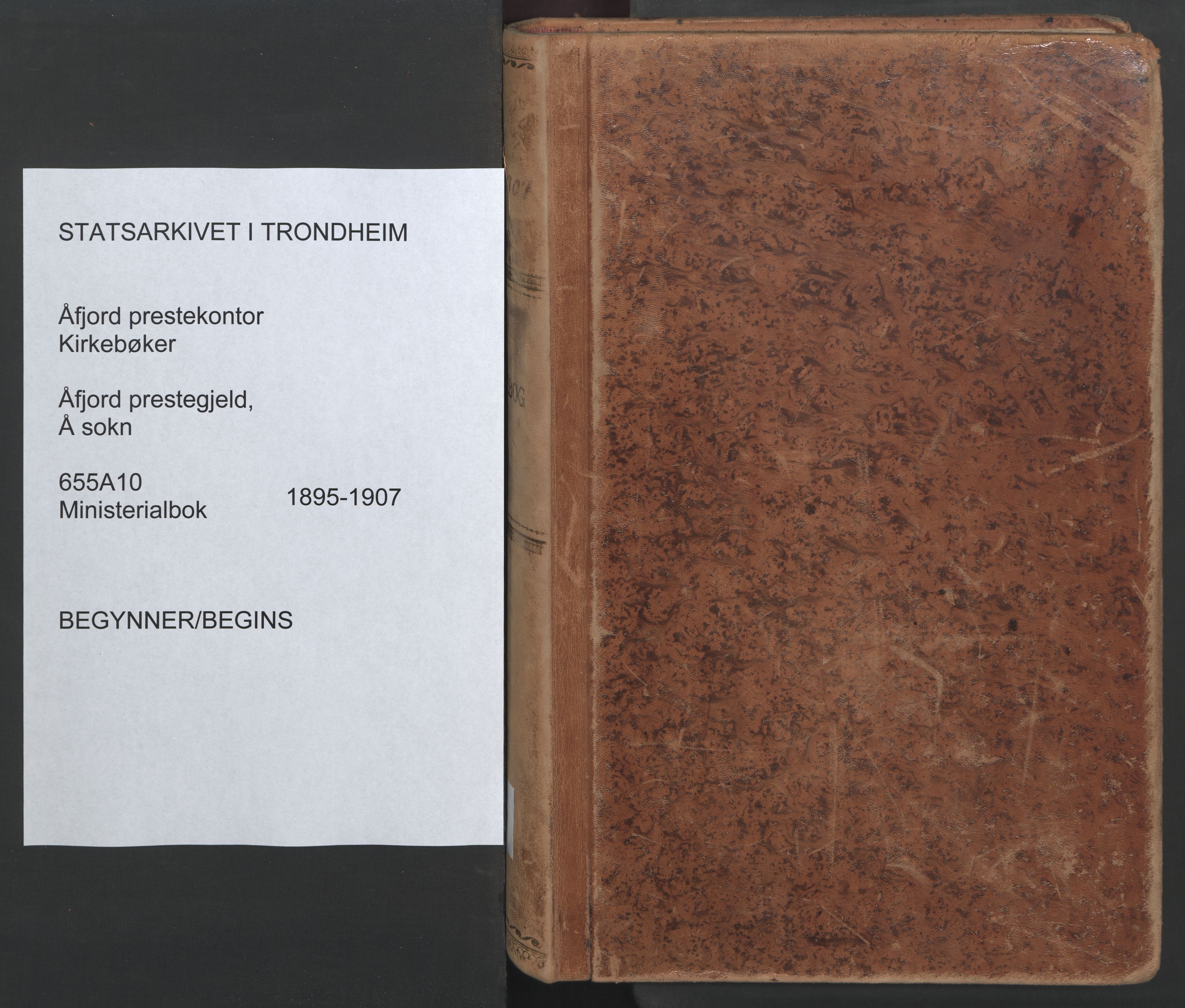 Ministerialprotokoller, klokkerbøker og fødselsregistre - Sør-Trøndelag, SAT/A-1456/655/L0681: Parish register (official) no. 655A10, 1895-1907