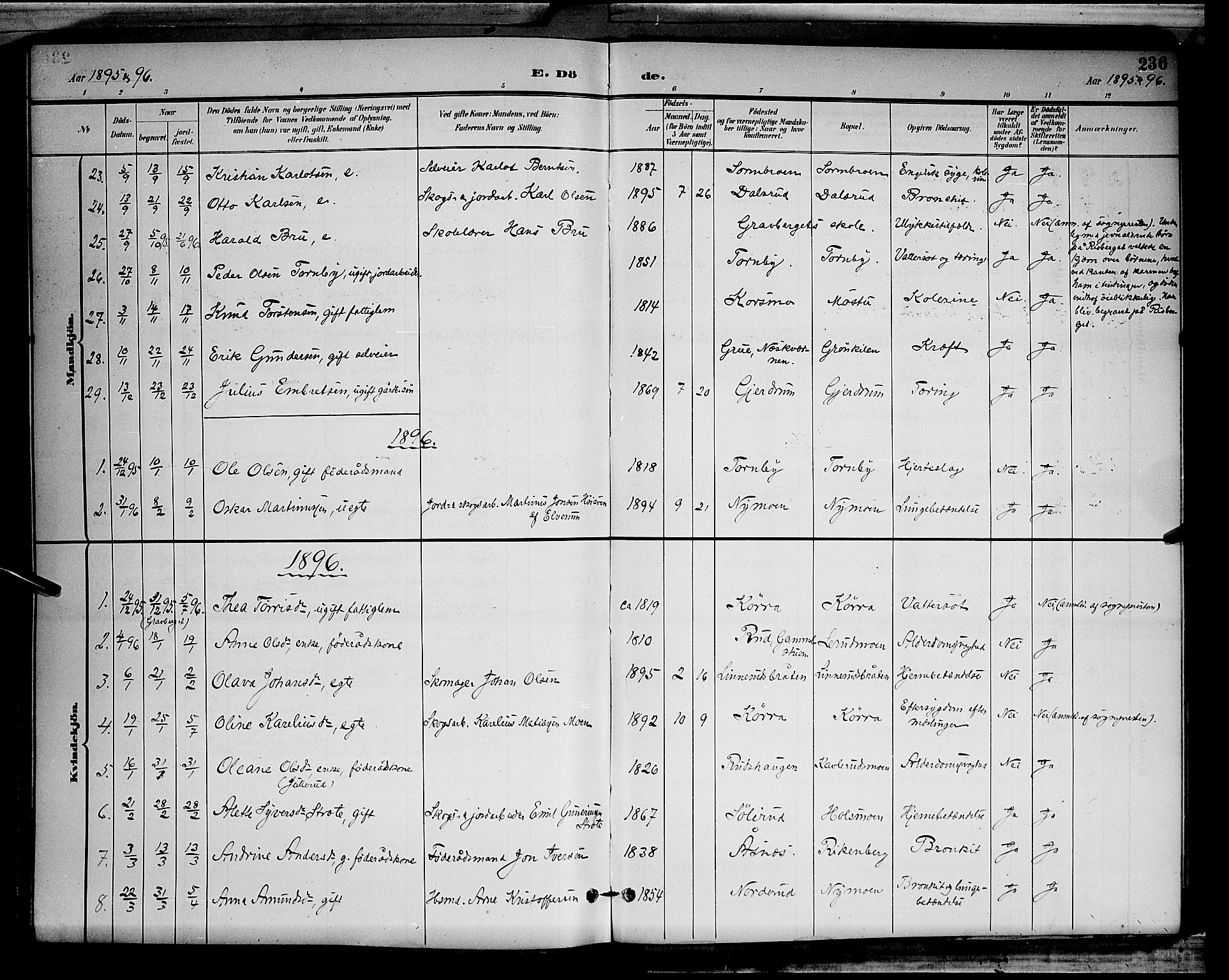 Våler prestekontor, Hedmark, AV/SAH-PREST-040/H/Ha/Hab/L0001: Parish register (copy) no. 1, 1894-1904, p. 236