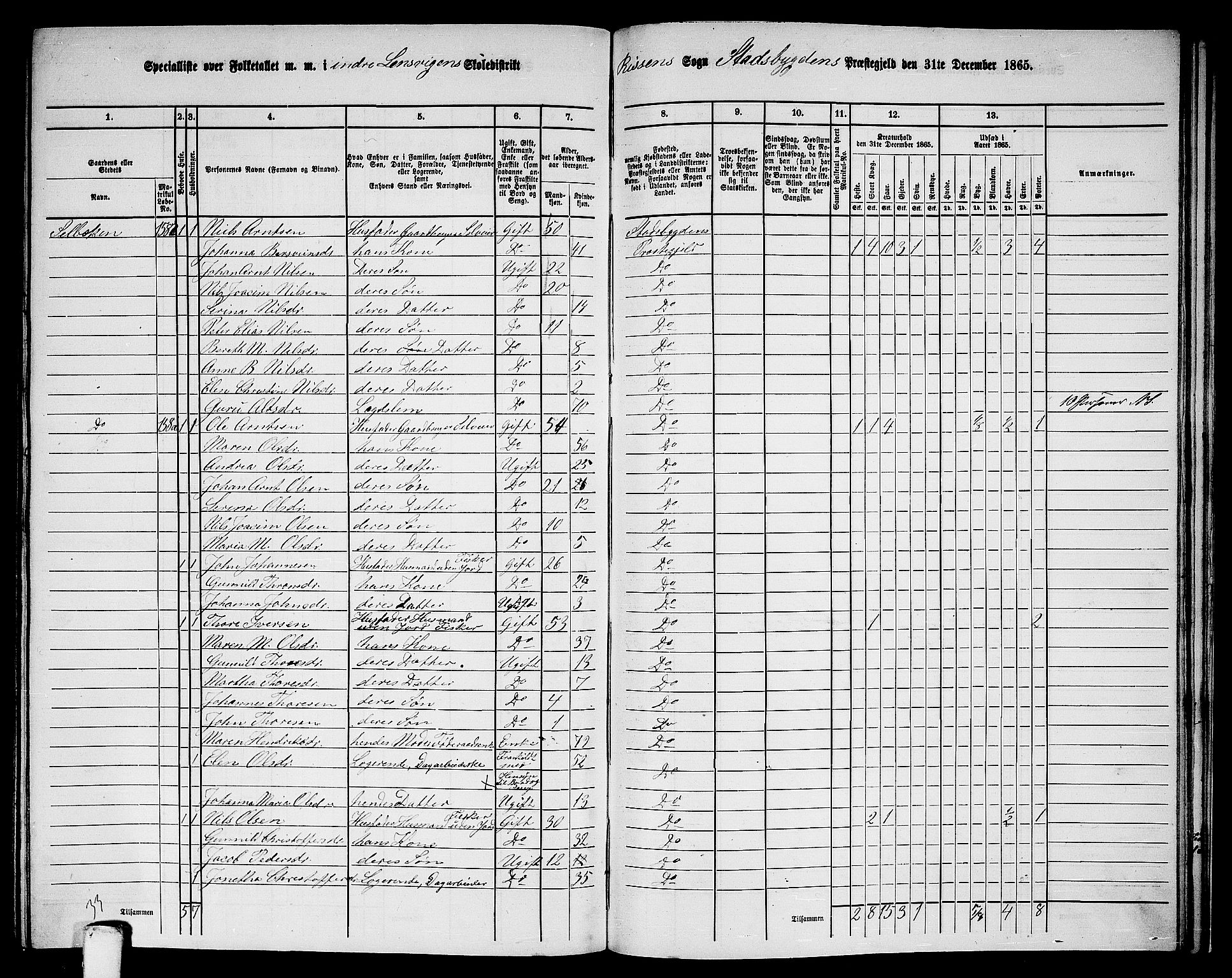 RA, 1865 census for Stadsbygd, 1865, p. 195