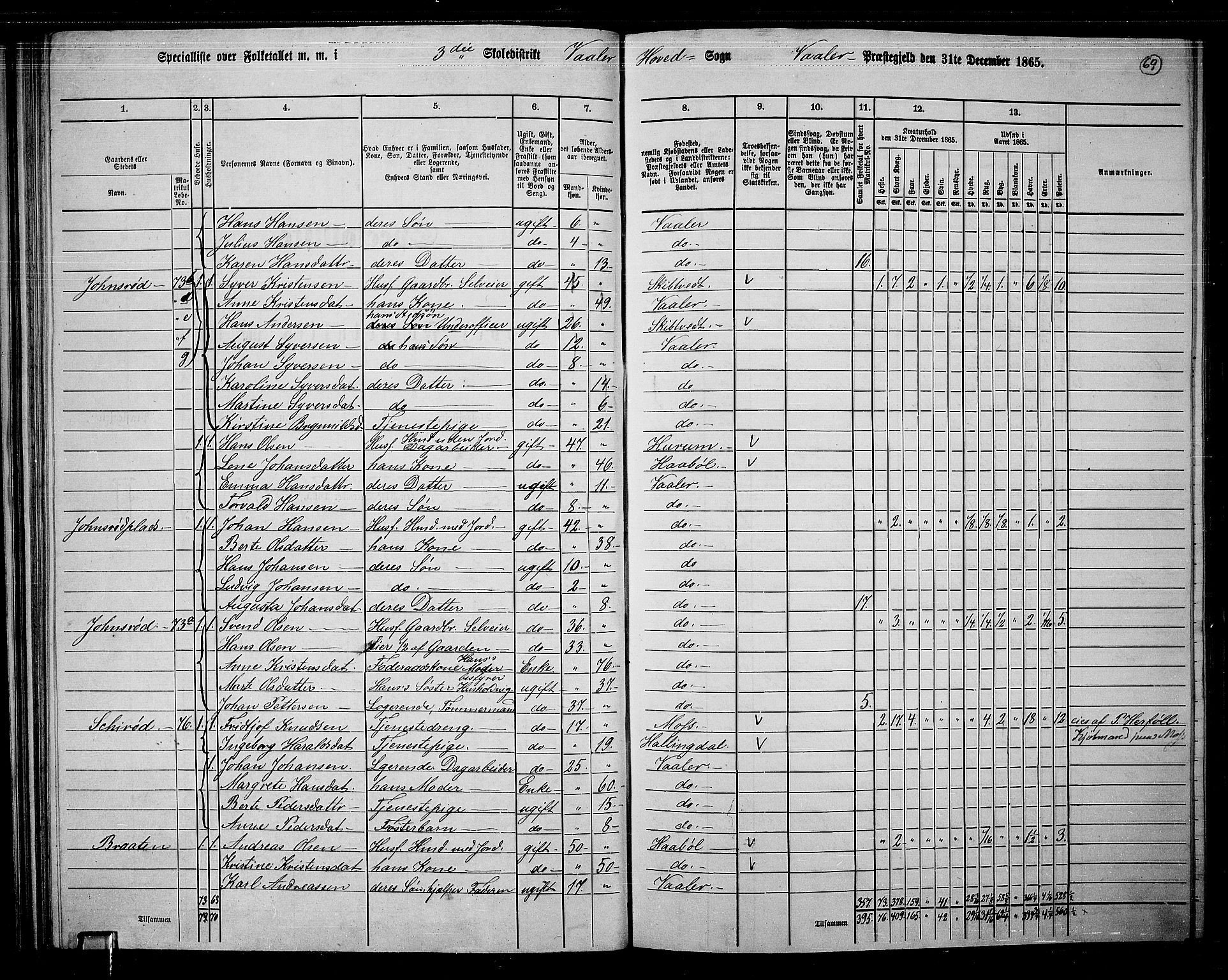 RA, 1865 census for Våler, 1865, p. 64