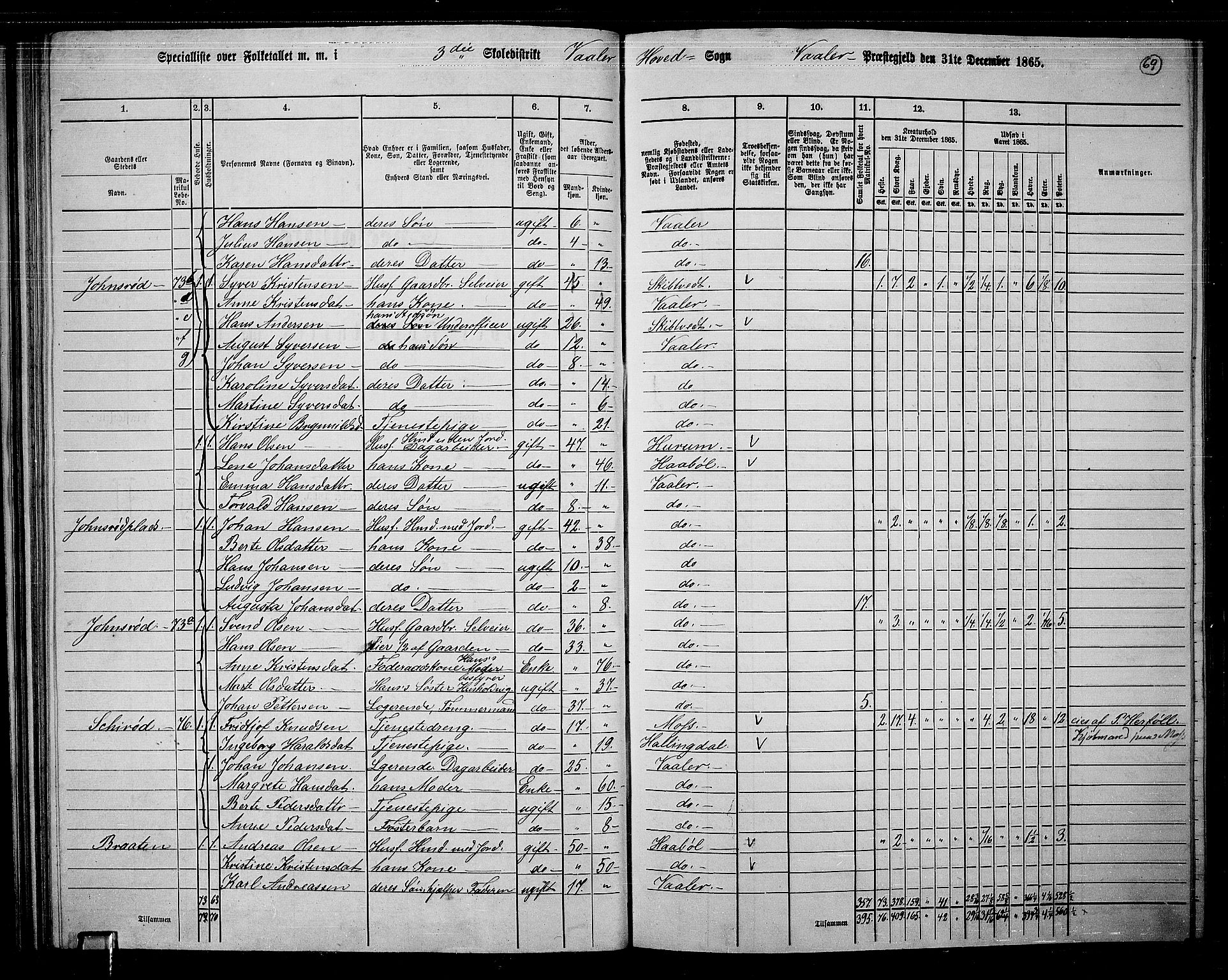 RA, 1865 census for Våler, 1865, p. 64