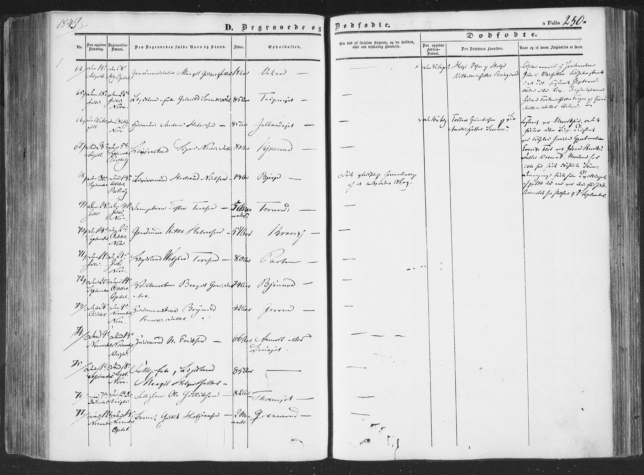 Rollag kirkebøker, SAKO/A-240/F/Fa/L0008: Parish register (official) no. I 8, 1847-1860, p. 250