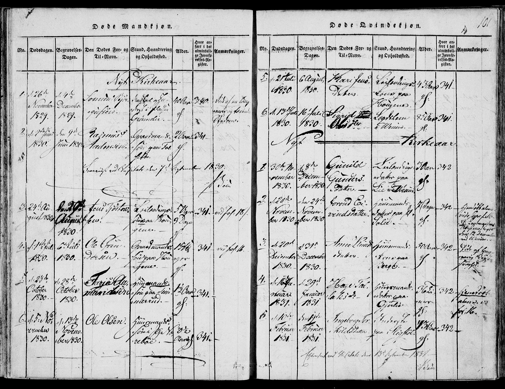 Fyresdal kirkebøker, SAKO/A-263/F/Fb/L0001: Parish register (official) no. II 1, 1815-1854, p. 101