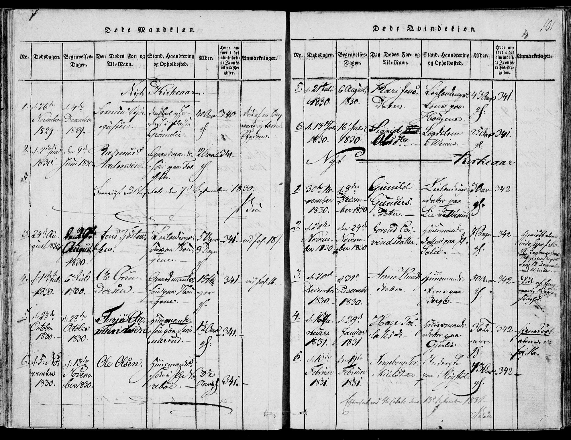 Fyresdal kirkebøker, AV/SAKO-A-263/F/Fb/L0001: Parish register (official) no. II 1, 1815-1854, p. 101