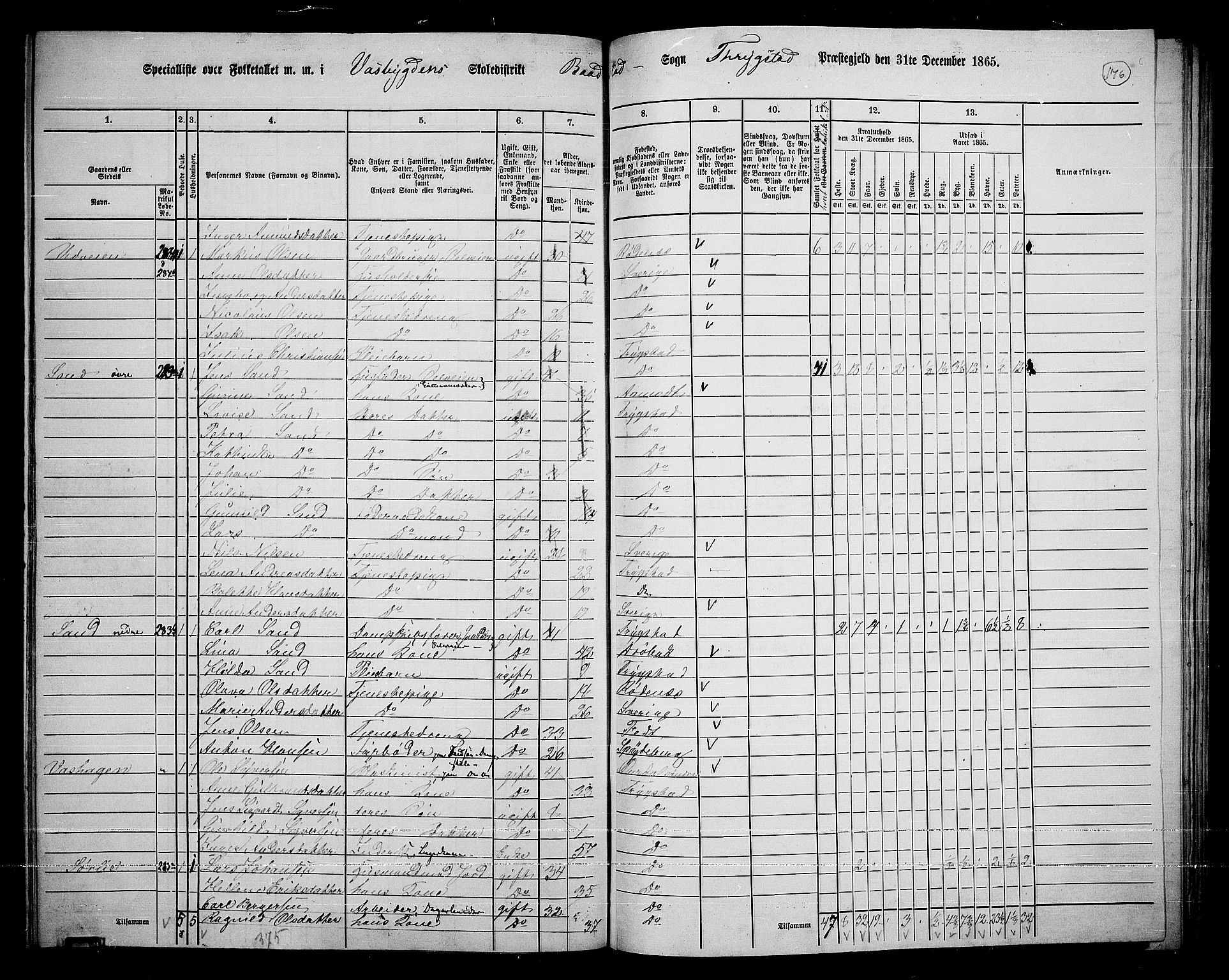 RA, 1865 census for Trøgstad, 1865, p. 156