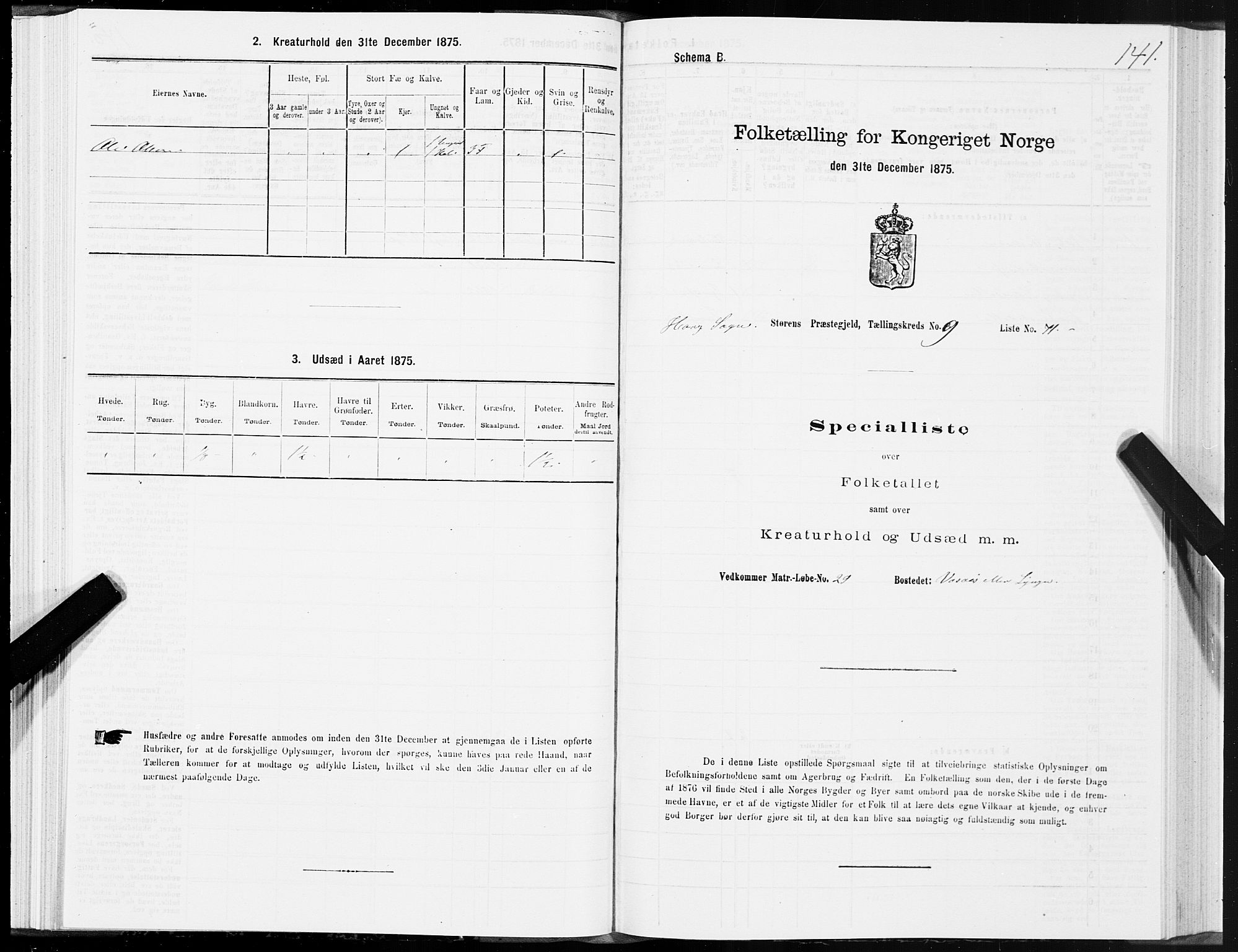 SAT, 1875 census for 1648P Støren, 1875, p. 5141