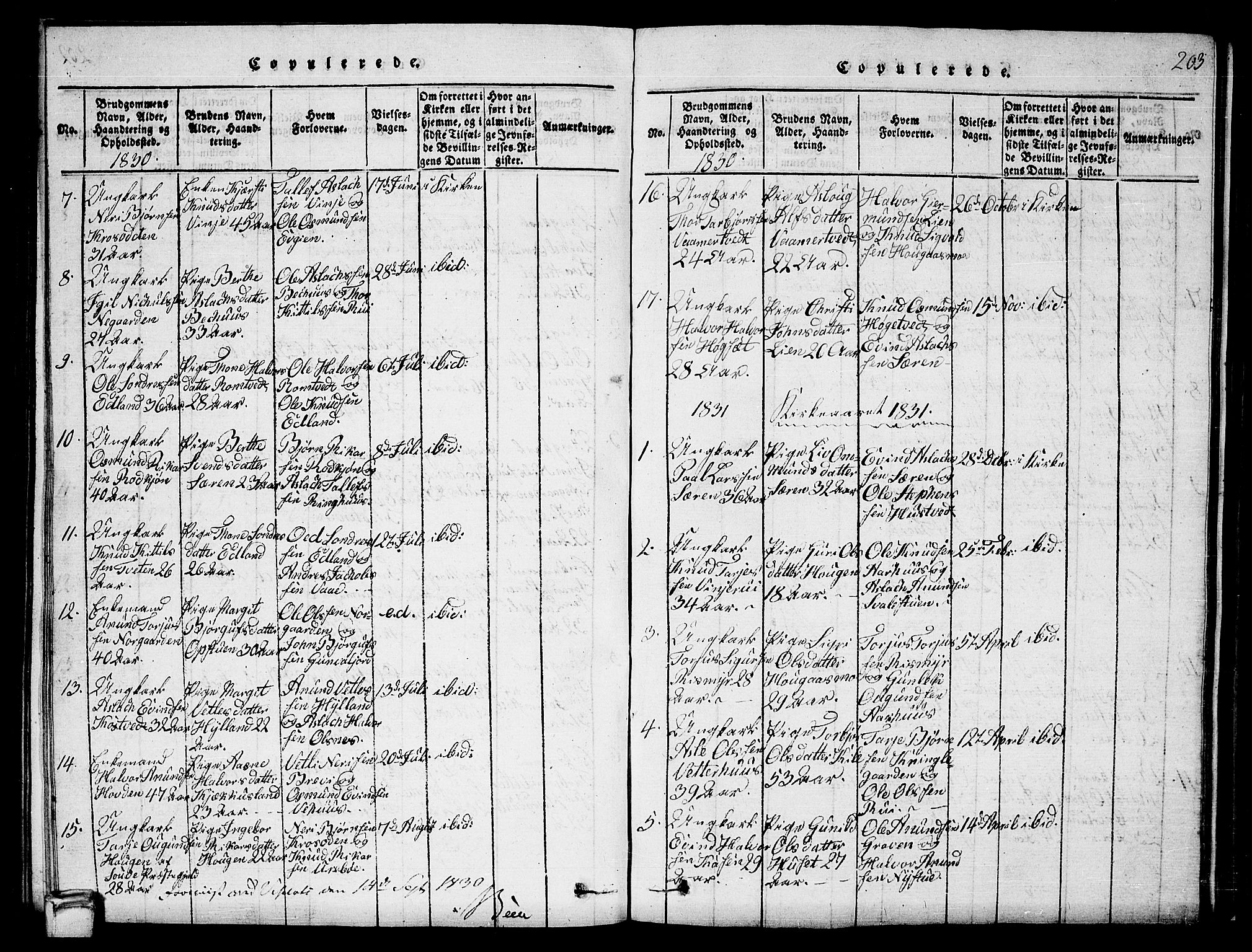 Vinje kirkebøker, SAKO/A-312/G/Ga/L0001: Parish register (copy) no. I 1, 1814-1843, p. 203