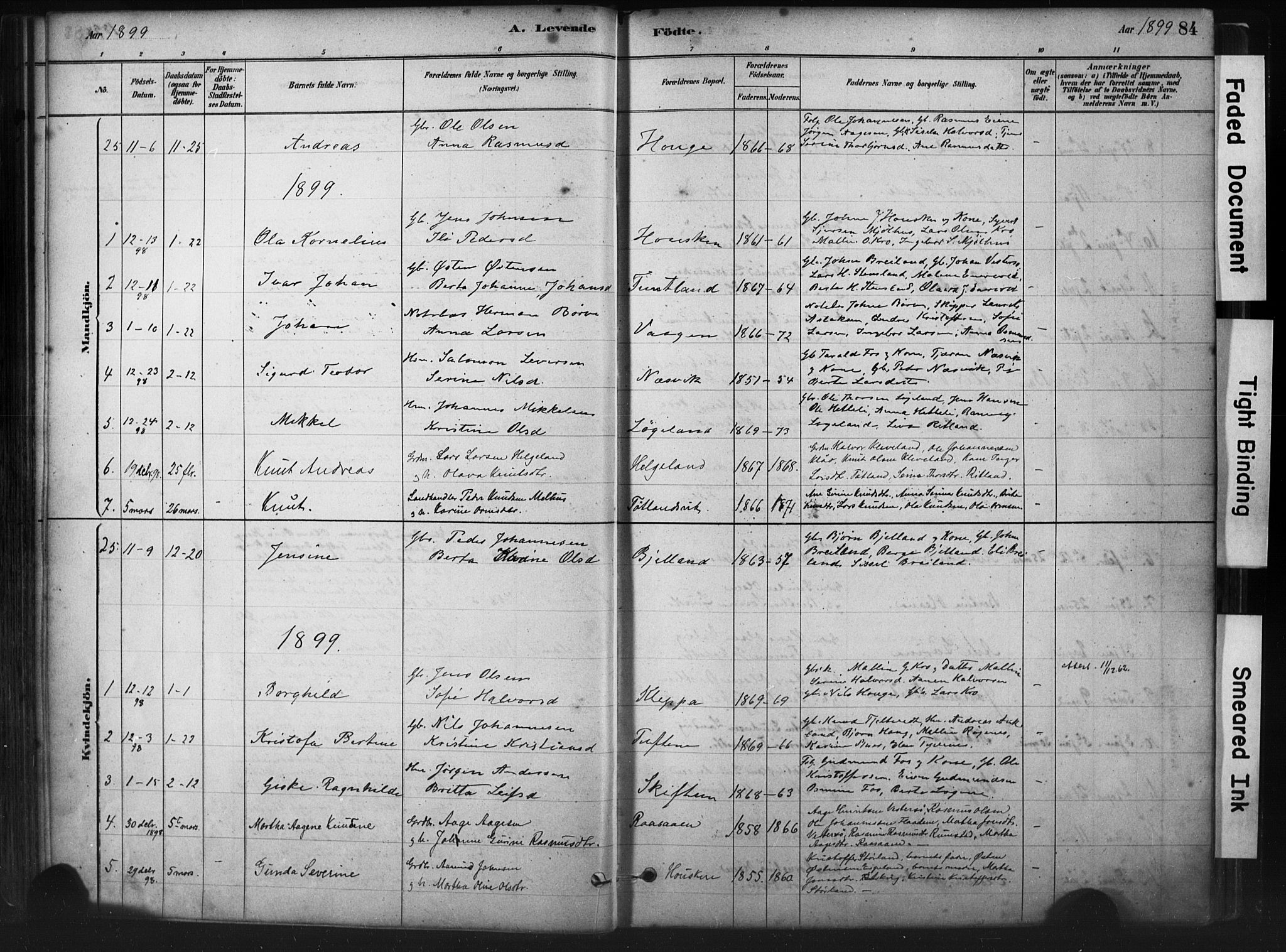 Hjelmeland sokneprestkontor, AV/SAST-A-101843/01/IV/L0014: Parish register (official) no. A 14, 1879-1900, p. 84