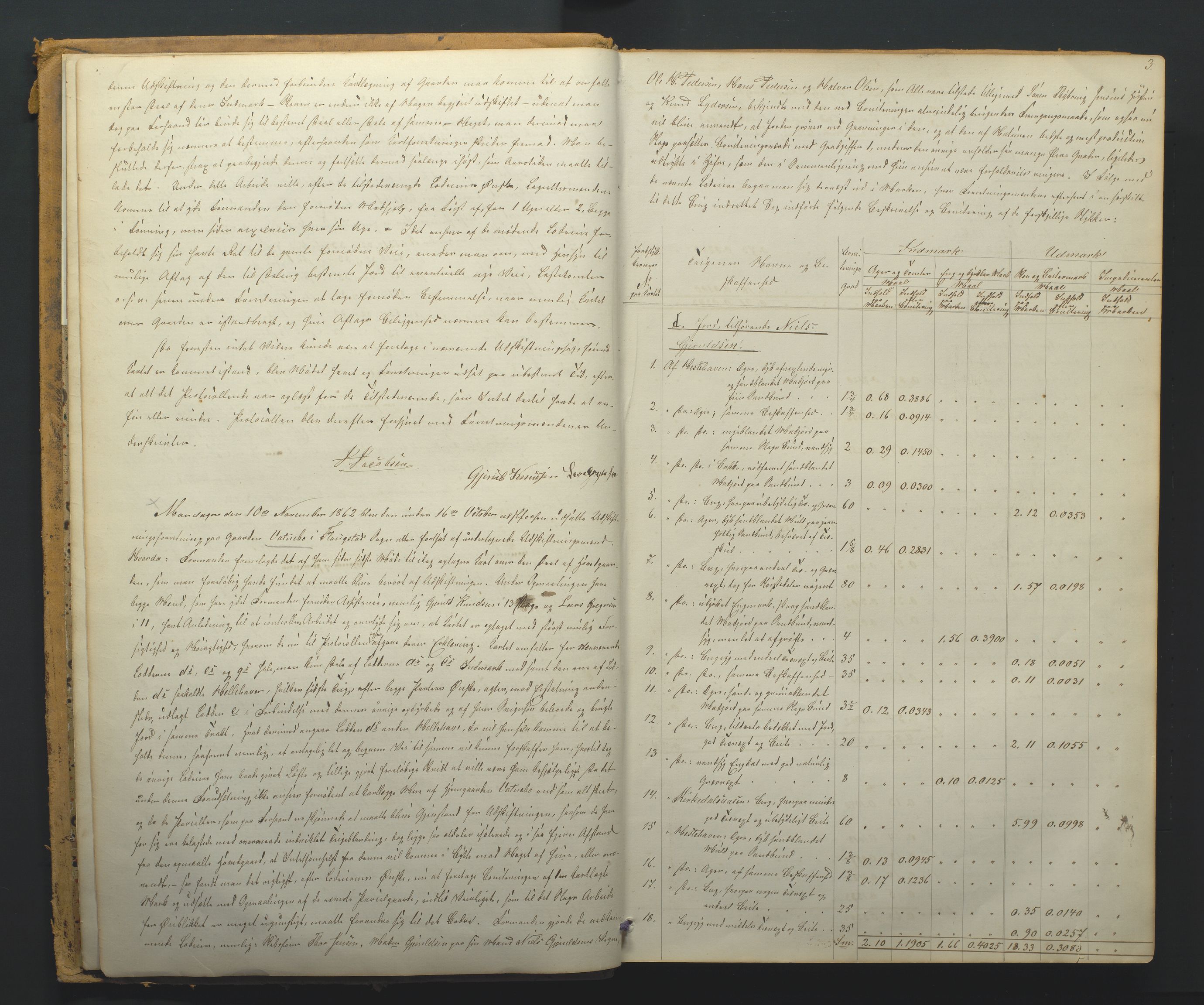 Utskiftningsformannen i Nedenes amt, AV/SAK-1541-0002/F/Fa/Faa/L0003: Utskiftningsprotokoll med gårdsregister, Nedenes amt nr 3, 1862-1865, p. 3