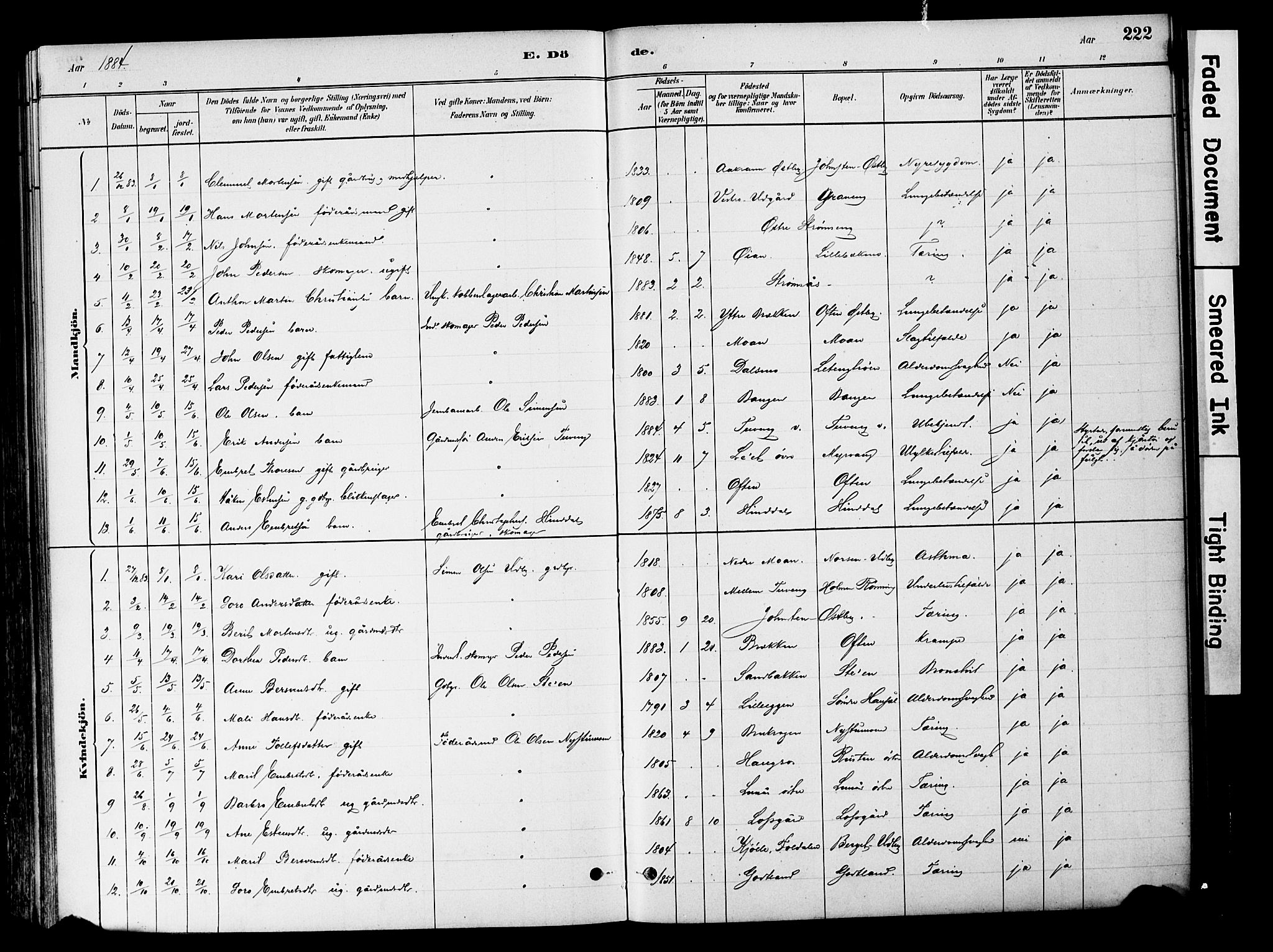 Tynset prestekontor, SAH/PREST-058/H/Ha/Haa/L0022: Parish register (official) no. 22, 1880-1899, p. 222