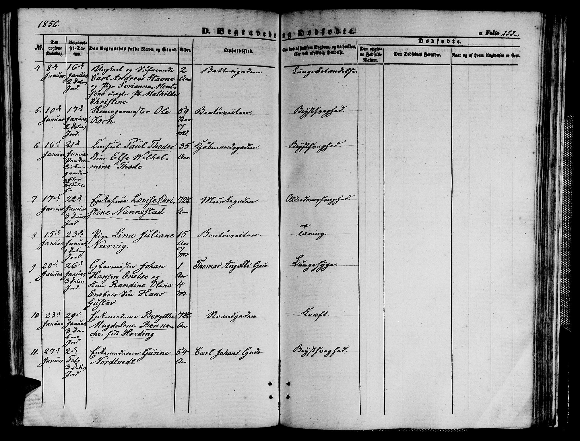 Ministerialprotokoller, klokkerbøker og fødselsregistre - Sør-Trøndelag, SAT/A-1456/602/L0138: Parish register (copy) no. 602C06, 1853-1858, p. 253