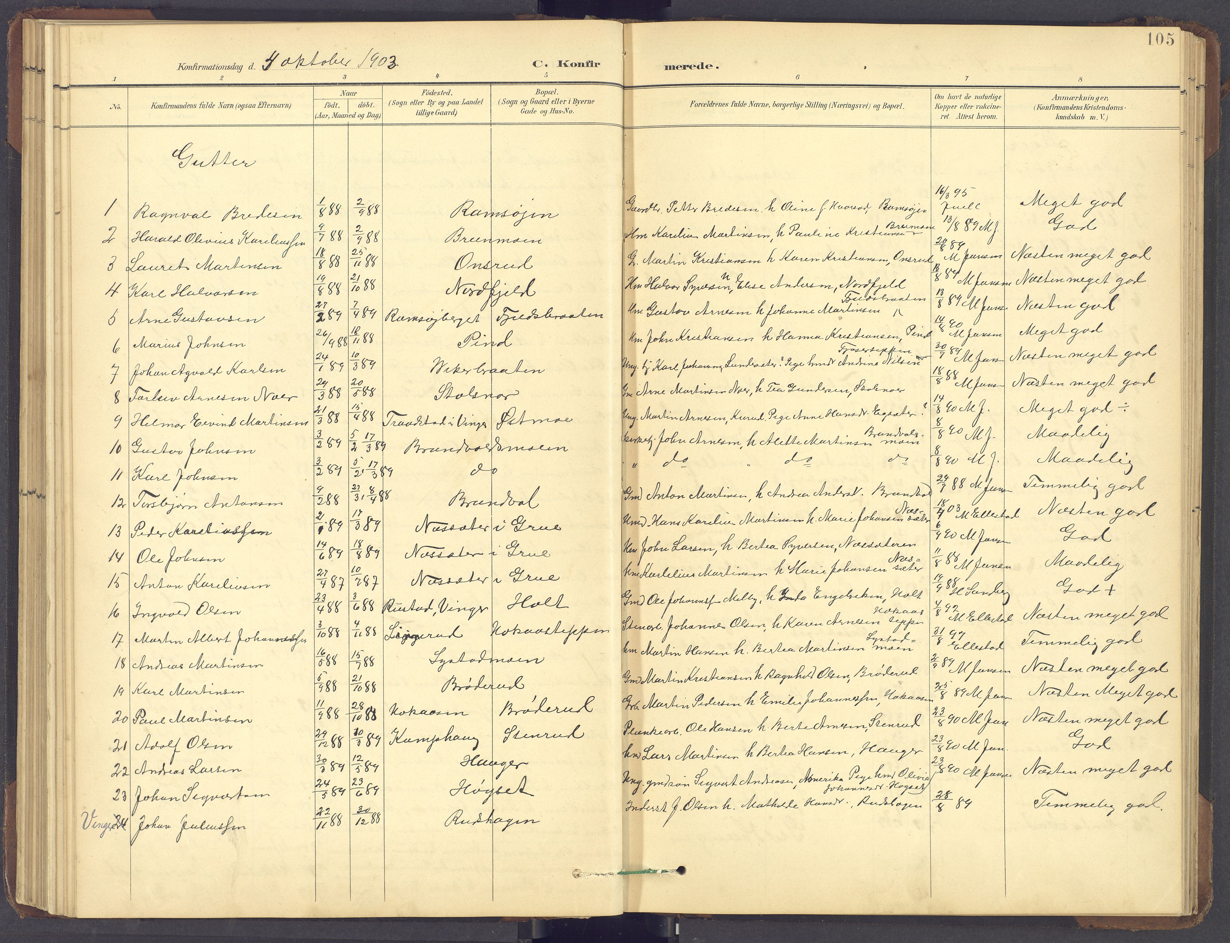 Brandval prestekontor, SAH/PREST-034/H/Ha/Hab/L0002: Parish register (copy) no. 2, 1895-1904, p. 105