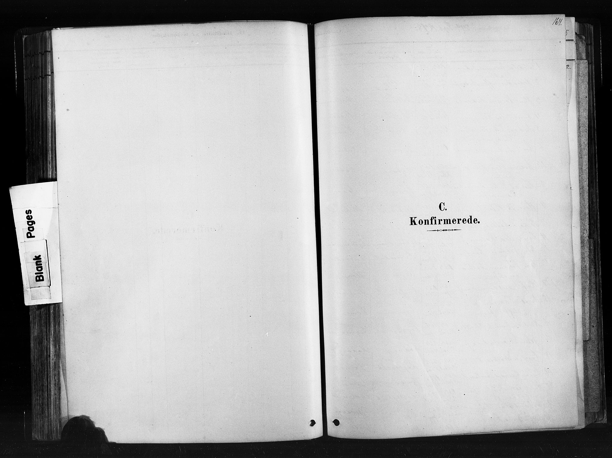 Ministerialprotokoller, klokkerbøker og fødselsregistre - Møre og Romsdal, SAT/A-1454/507/L0073: Parish register (official) no. 507A08, 1878-1904, p. 164