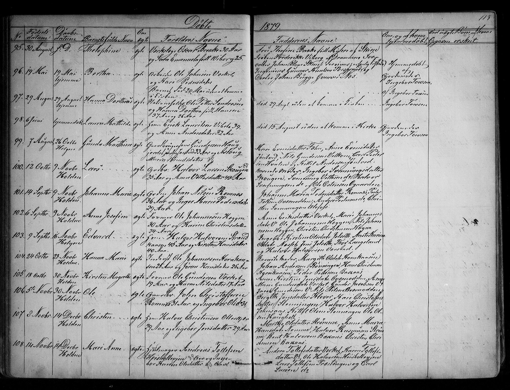 Holla kirkebøker, SAKO/A-272/G/Ga/L0004: Parish register (copy) no. I 4, 1867-1890, p. 113