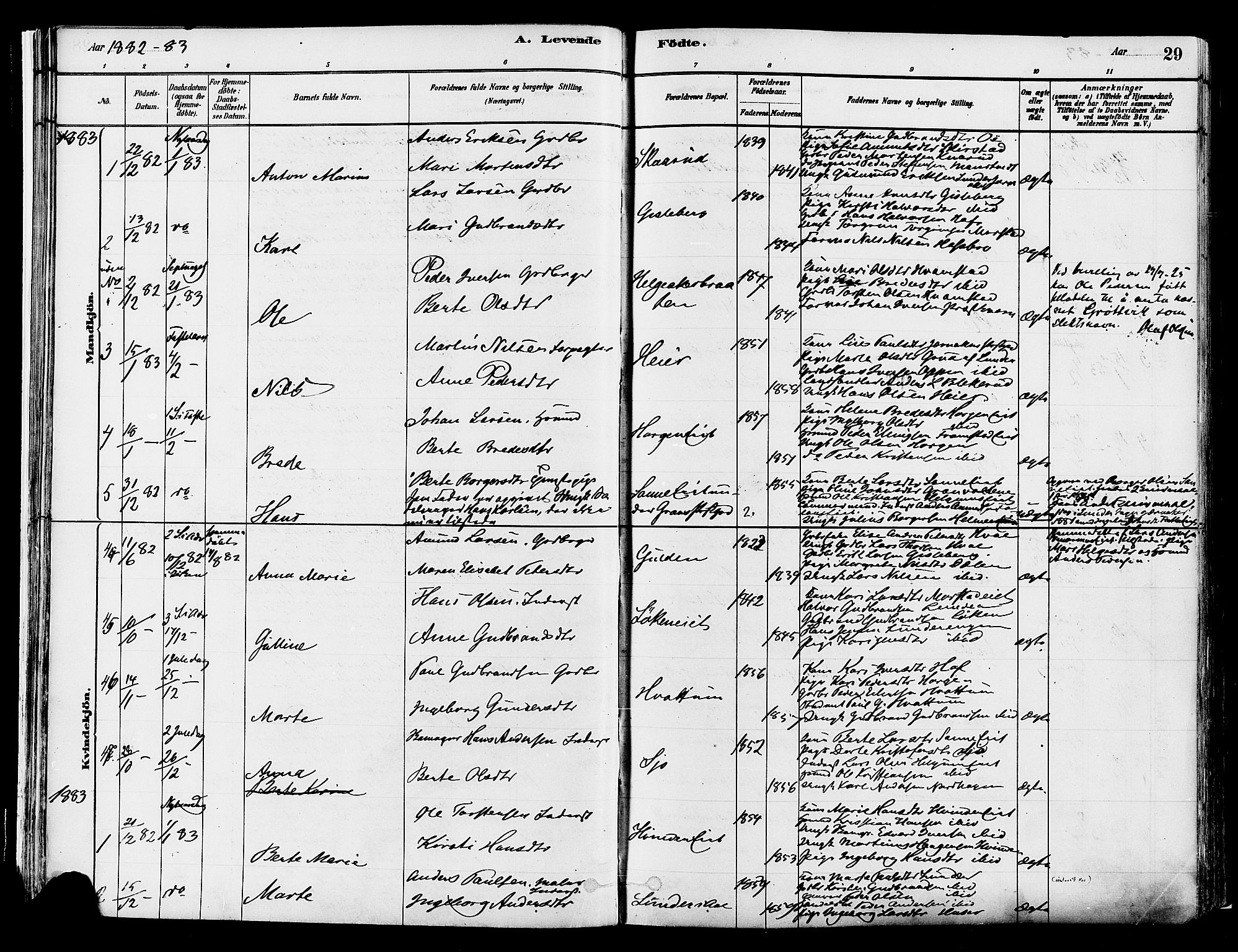 Gran prestekontor, SAH/PREST-112/H/Ha/Haa/L0014: Parish register (official) no. 14, 1880-1889, p. 29
