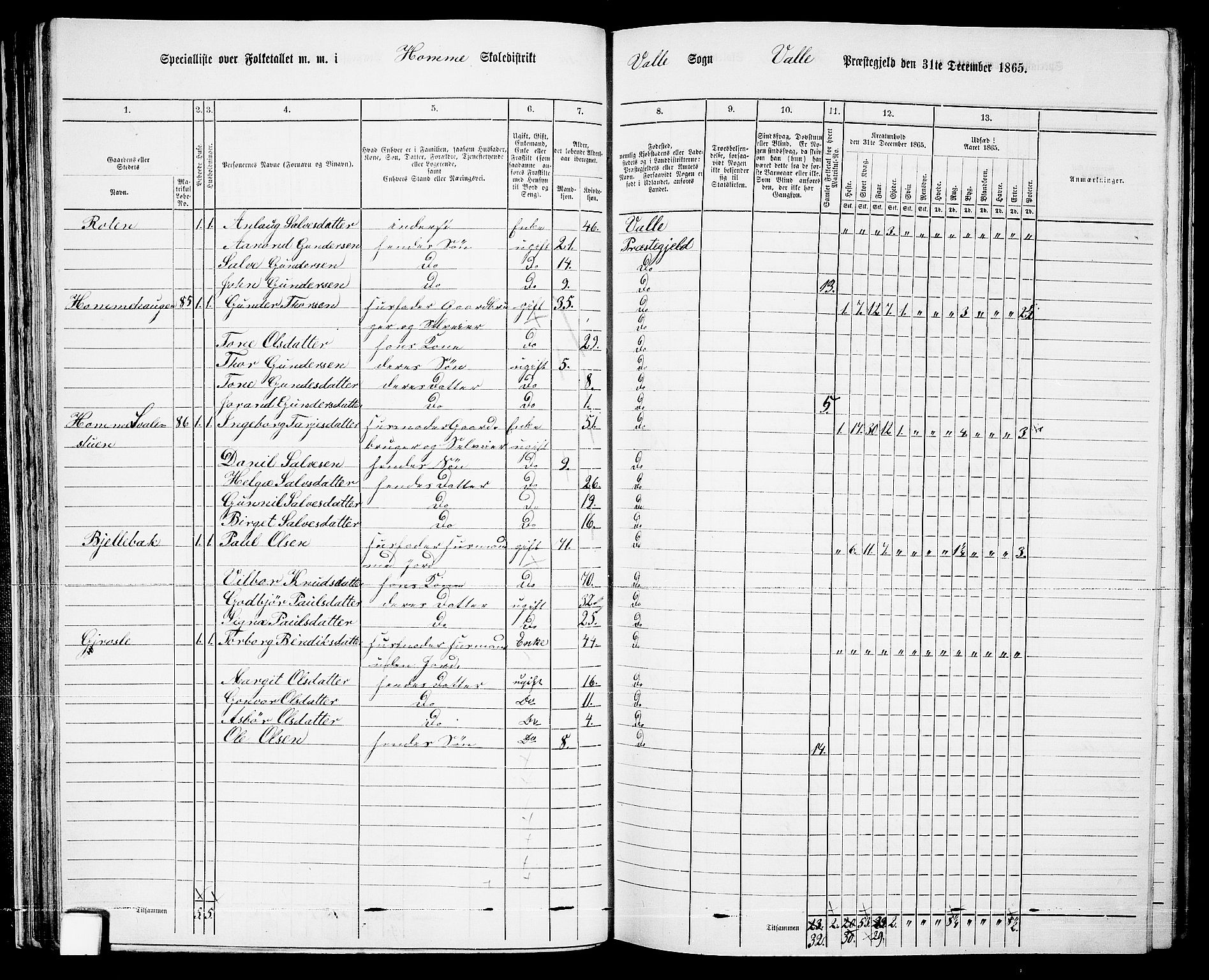 RA, 1865 census for Valle, 1865, p. 52