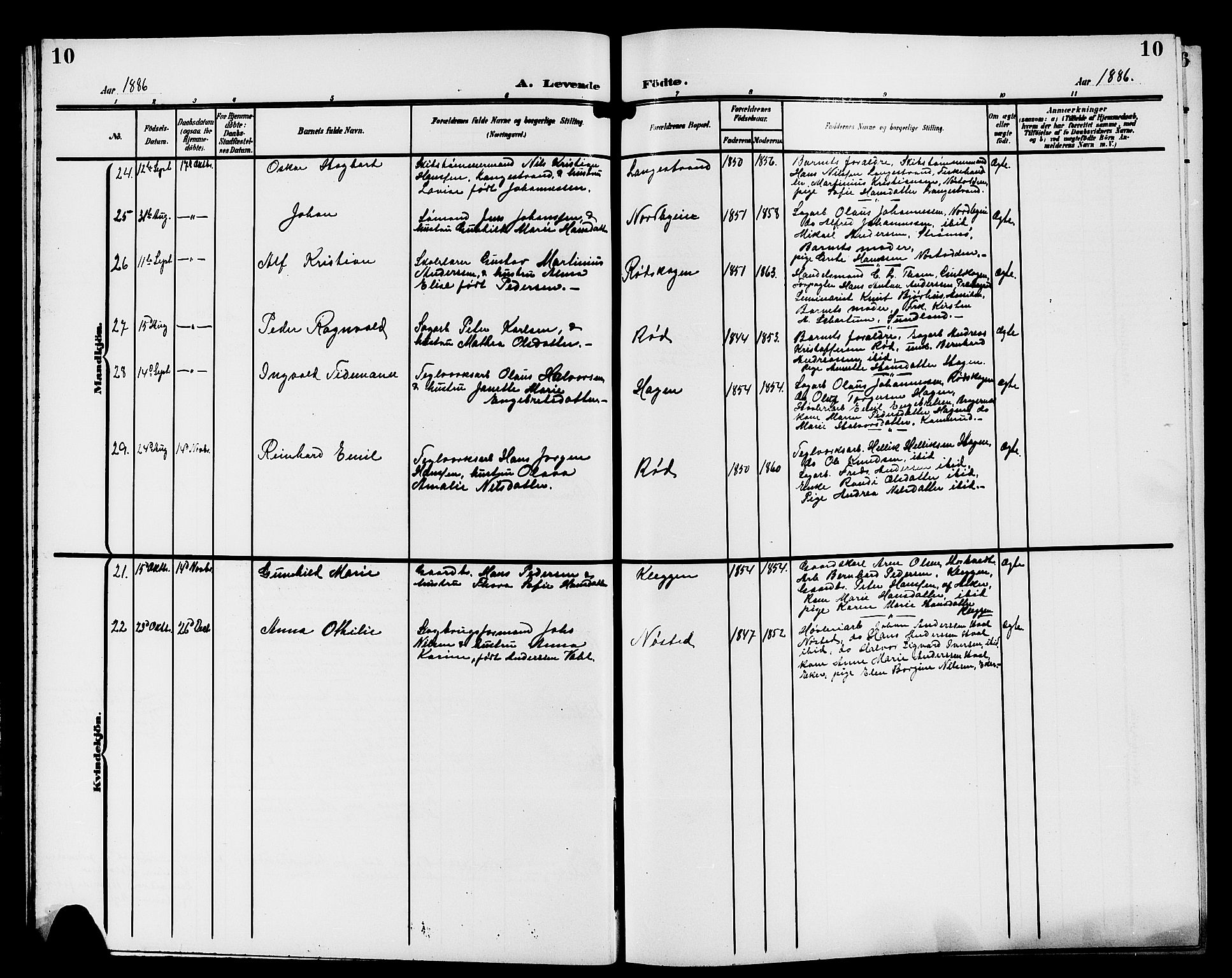 Strømsgodset kirkebøker, AV/SAKO-A-324/G/Ga/L0002: Parish register (copy) no. 2, 1885-1910, p. 10