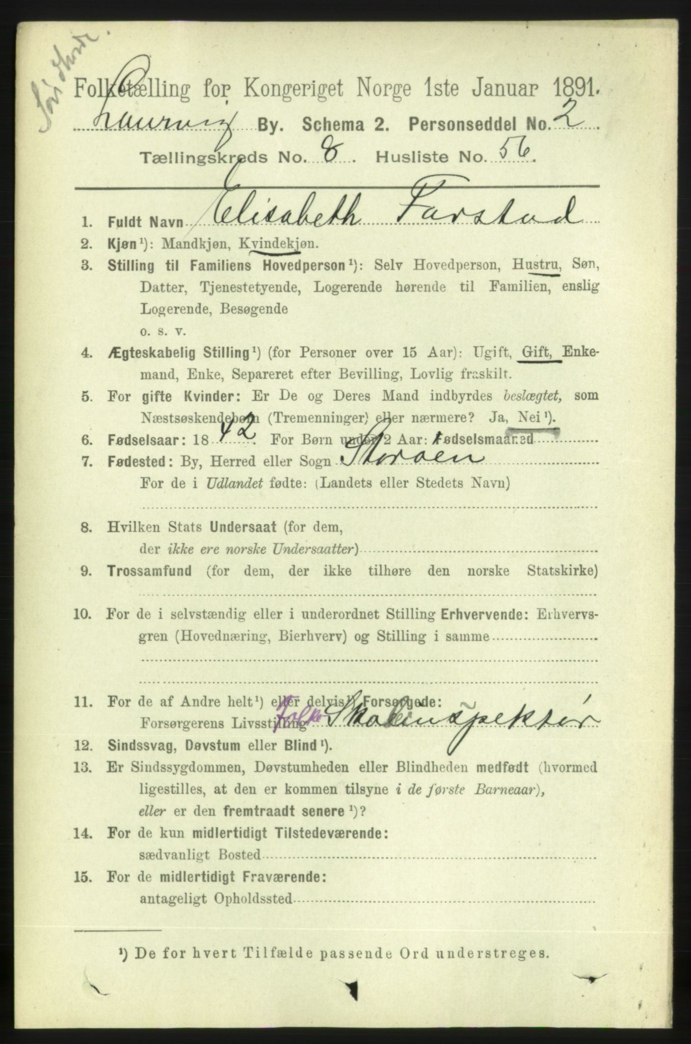 RA, 1891 census for 0707 Larvik, 1891, p. 8489