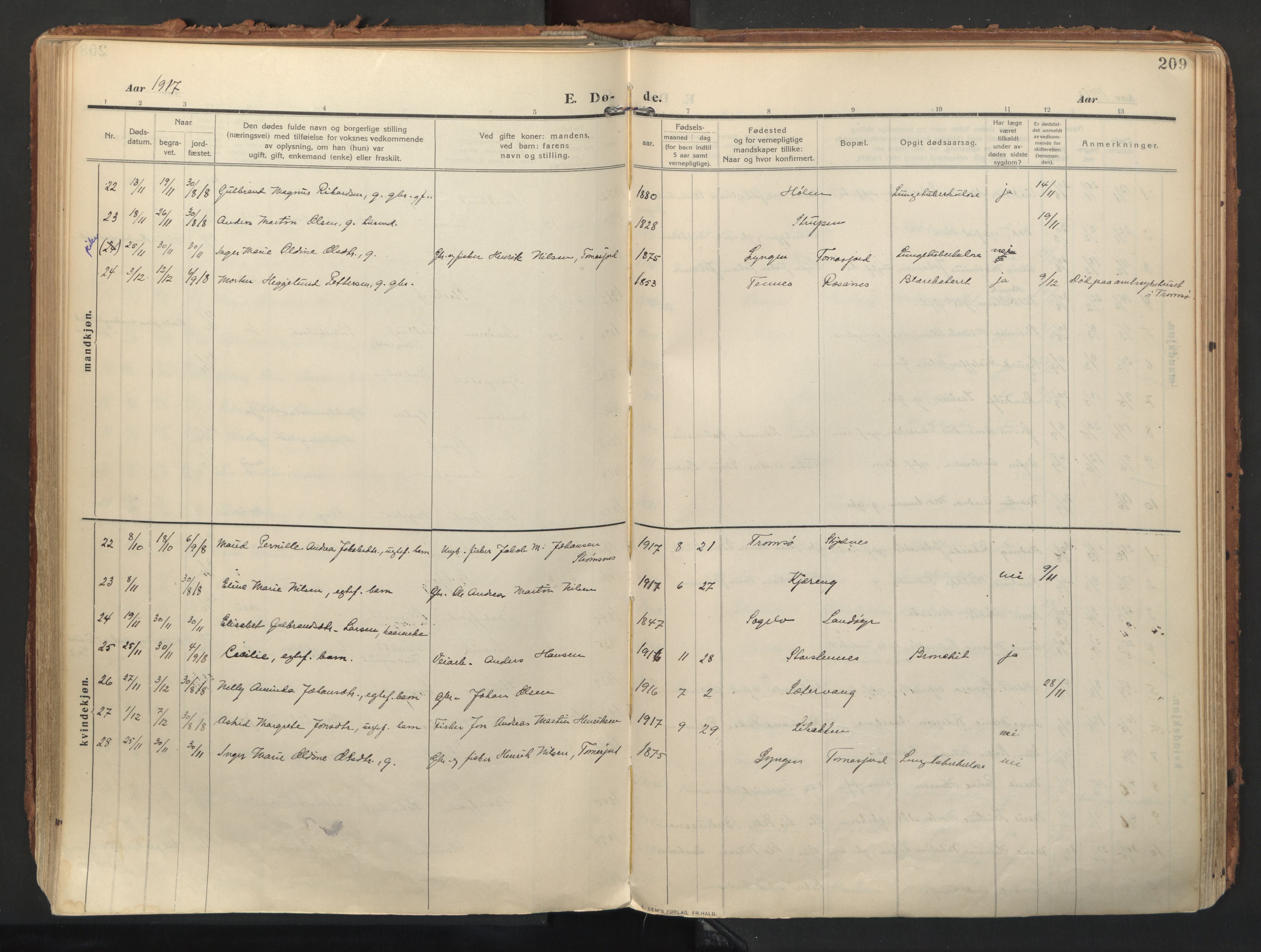 Balsfjord sokneprestembete, AV/SATØ-S-1303/G/Ga/L0009kirke: Parish register (official) no. 9, 1909-1921, p. 209