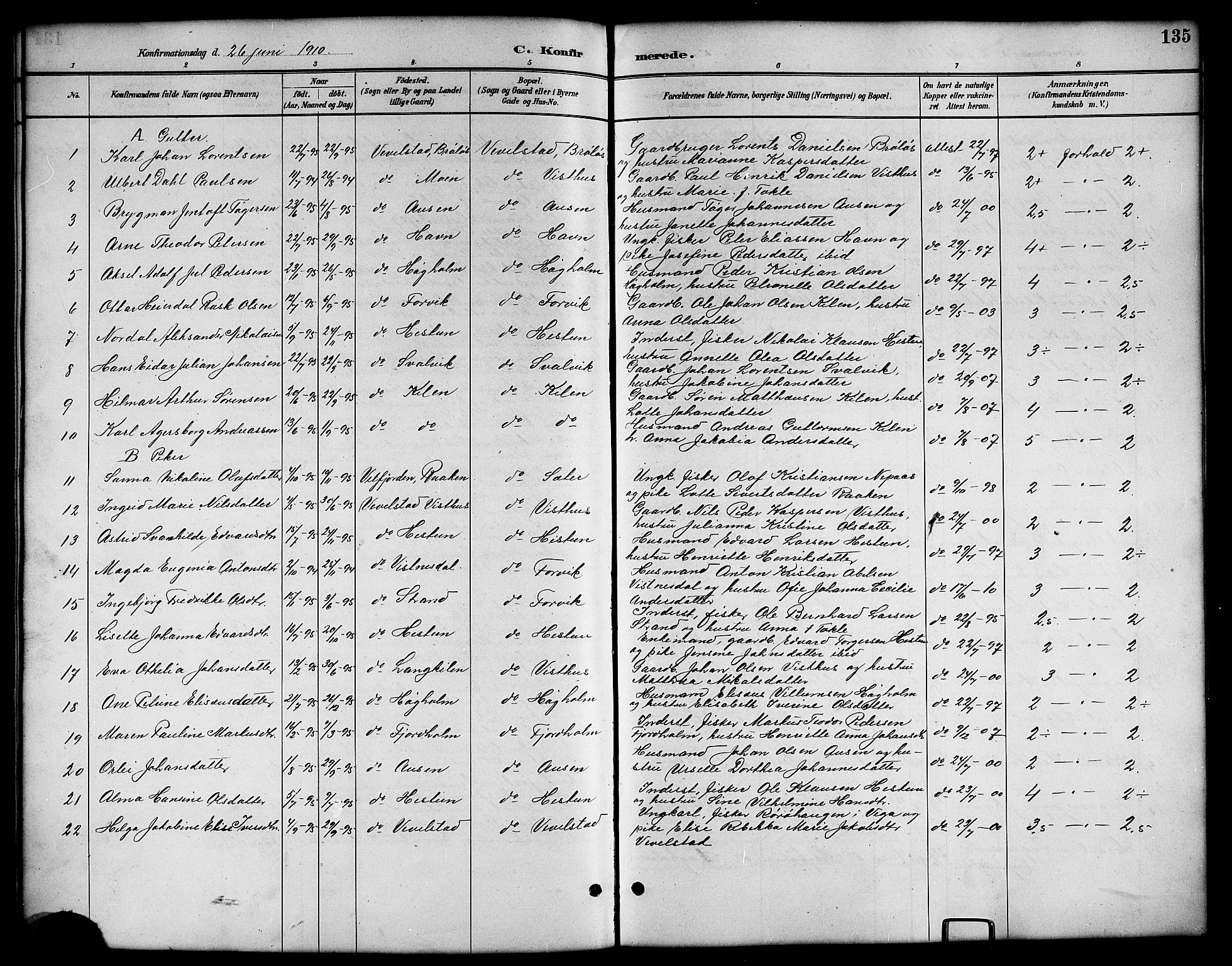 Ministerialprotokoller, klokkerbøker og fødselsregistre - Nordland, SAT/A-1459/819/L0277: Parish register (copy) no. 819C03, 1888-1917, p. 135