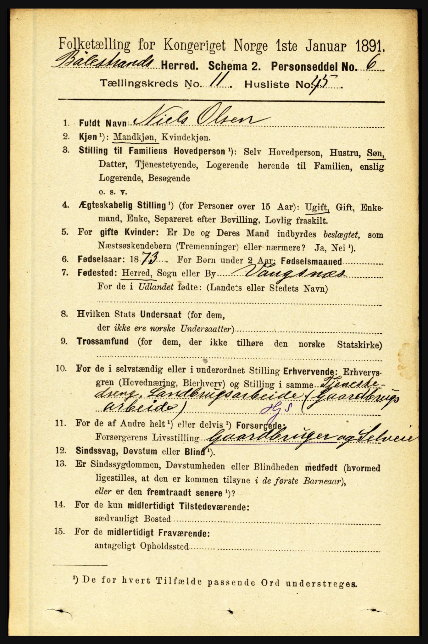 RA, 1891 census for 1418 Balestrand, 1891, p. 2737