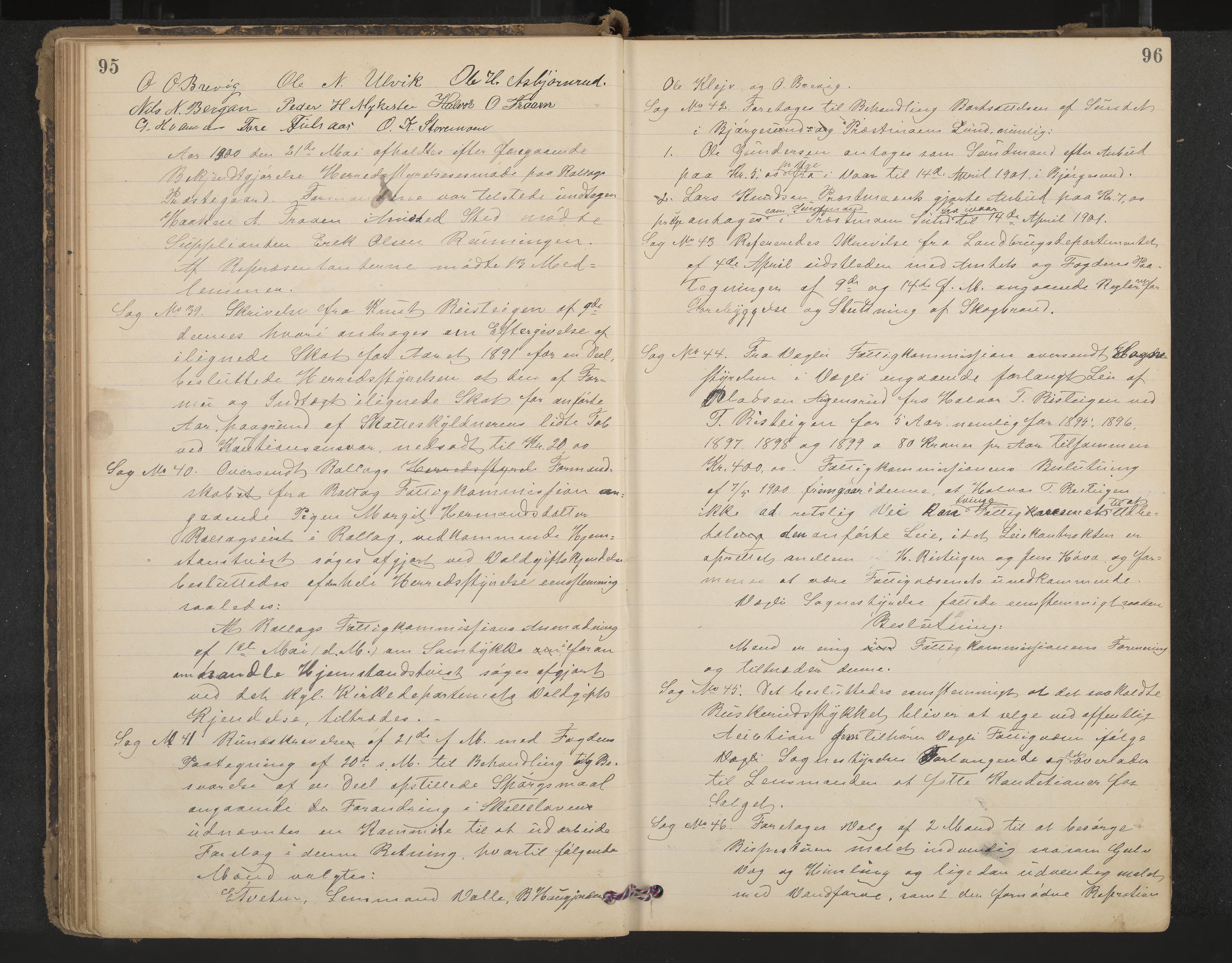 Rollag formannskap og sentraladministrasjon, IKAK/0632021-2/A/Aa/L0004: Møtebok, 1897-1909, p. 95-96