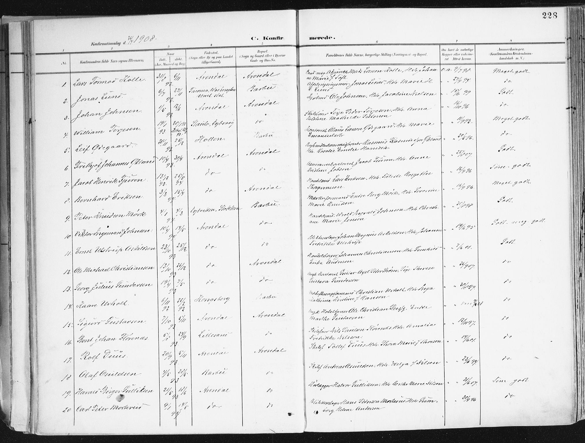 Arendal sokneprestkontor, Trefoldighet, SAK/1111-0040/F/Fa/L0010: Parish register (official) no. A 10, 1900-1919, p. 228
