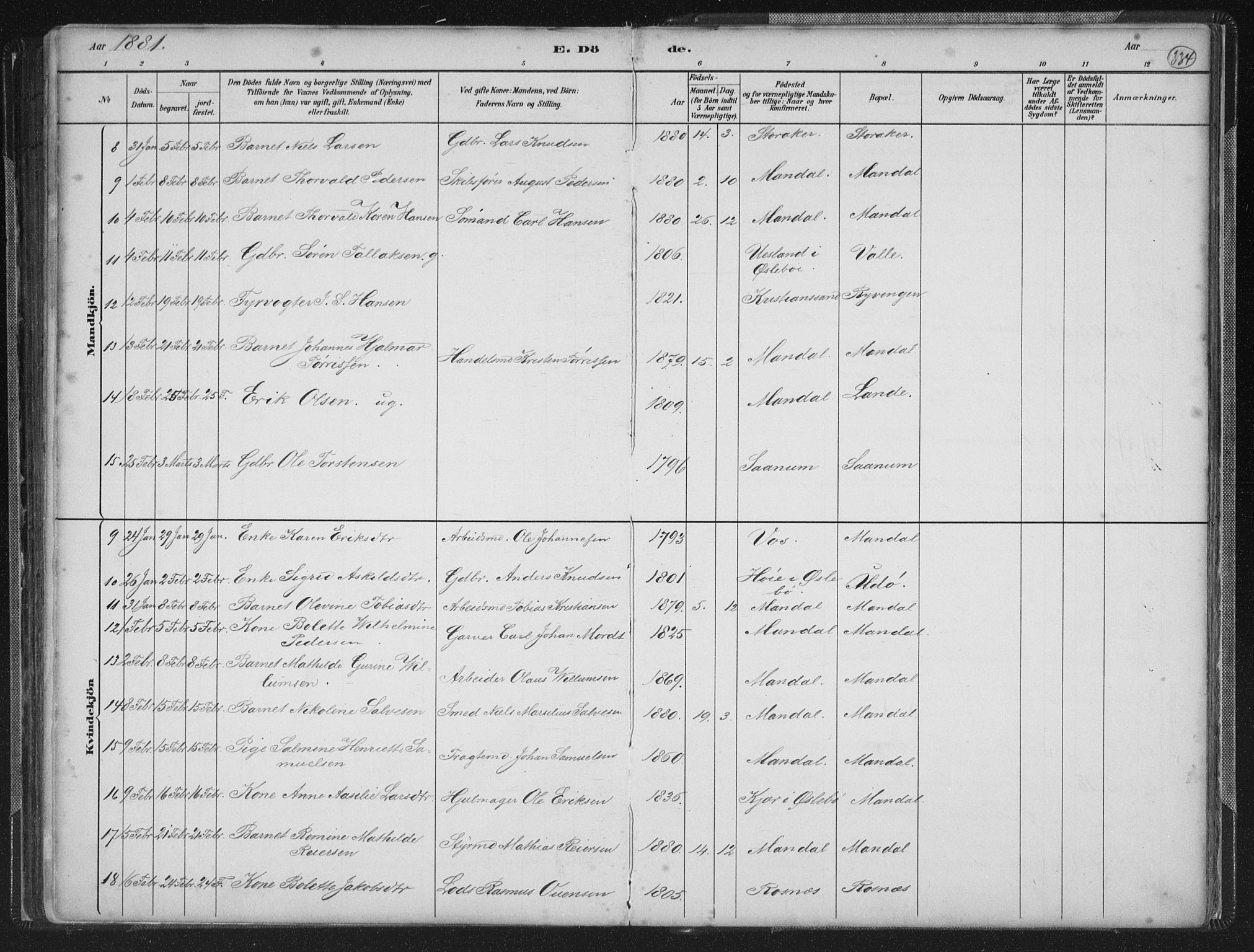 Mandal sokneprestkontor, AV/SAK-1111-0030/F/Fb/Fba/L0011: Parish register (copy) no. B 5, 1880-1898, p. 334