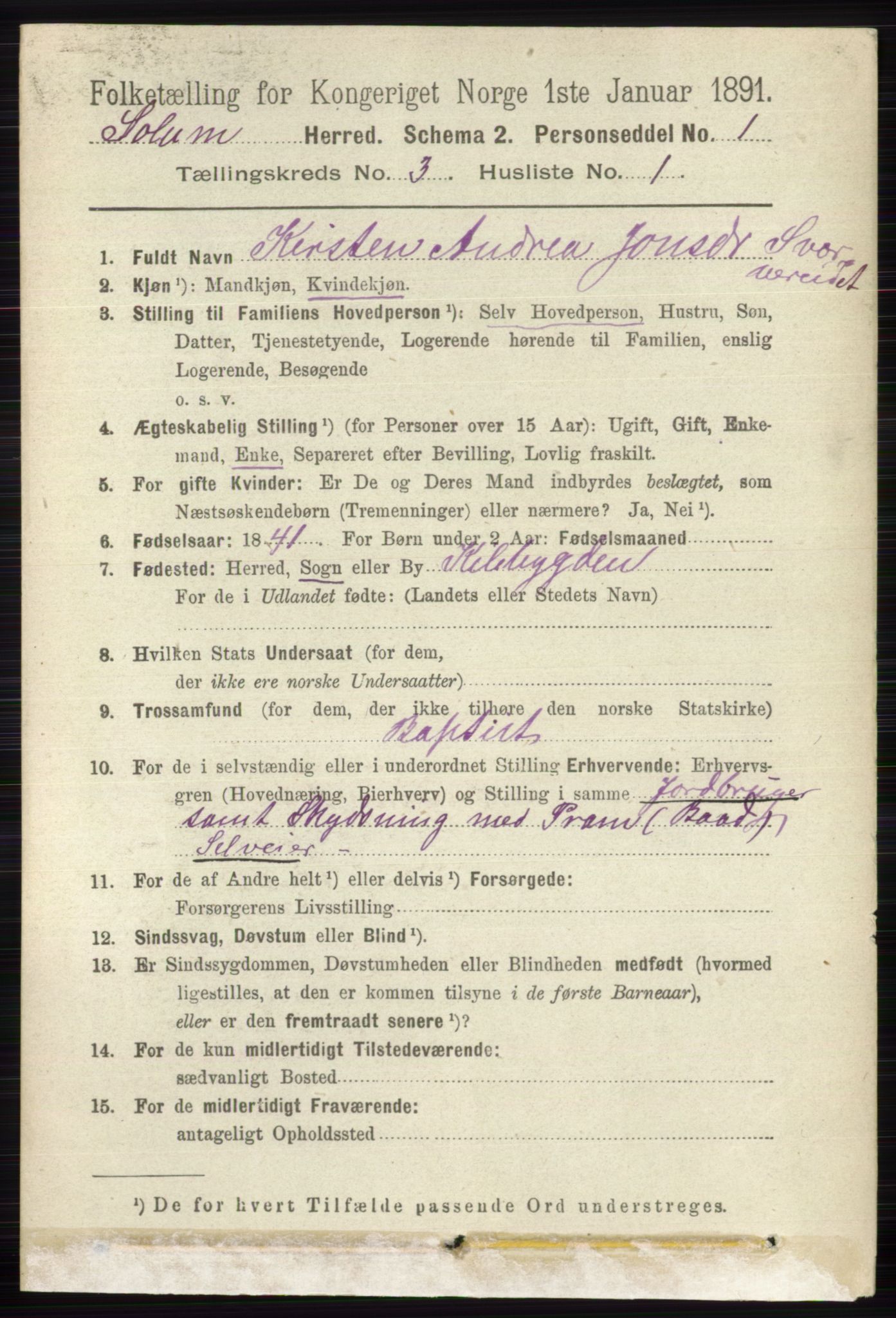 RA, 1891 census for 0818 Solum, 1891, p. 348