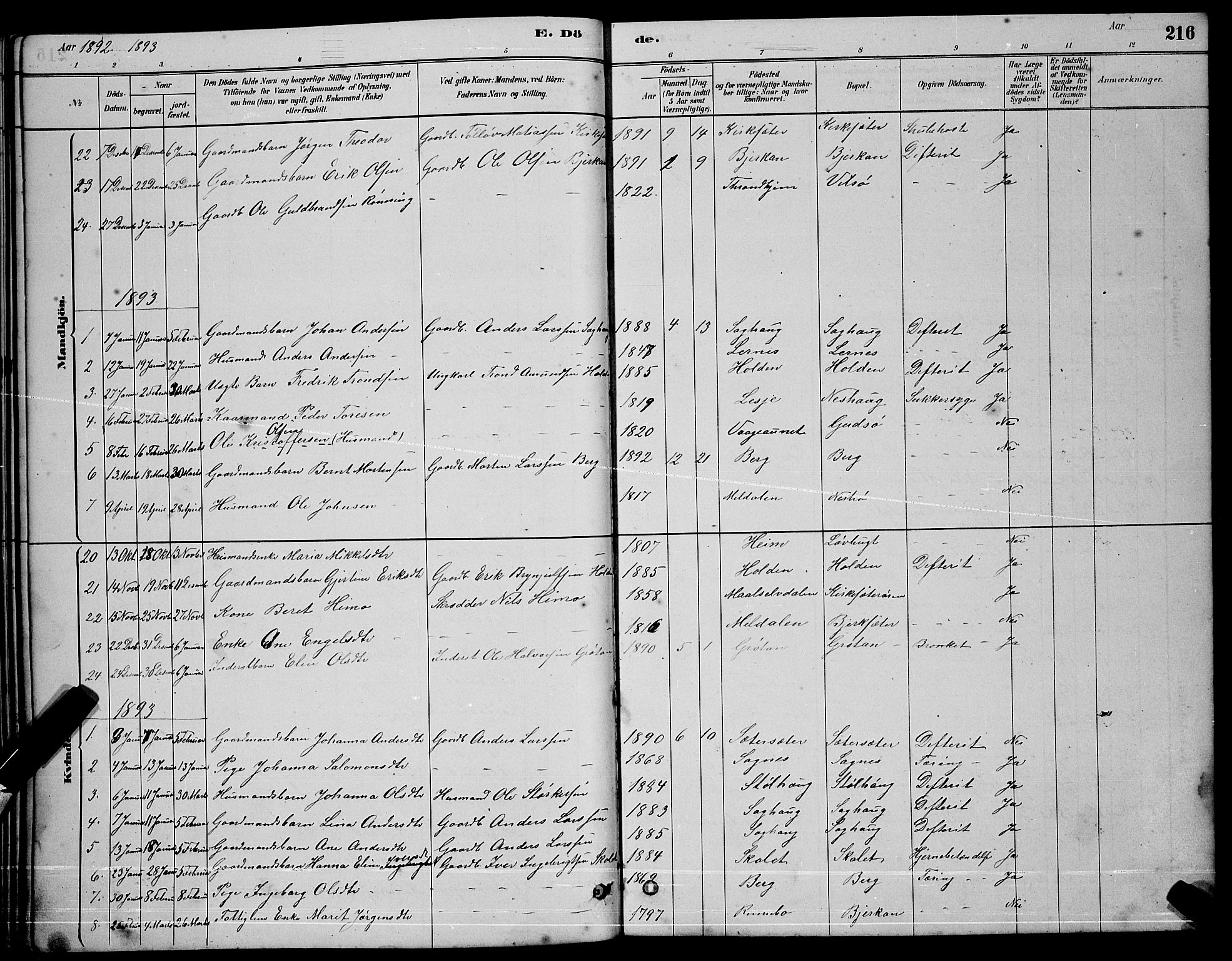 Ministerialprotokoller, klokkerbøker og fødselsregistre - Sør-Trøndelag, SAT/A-1456/630/L0504: Parish register (copy) no. 630C02, 1879-1898, p. 216