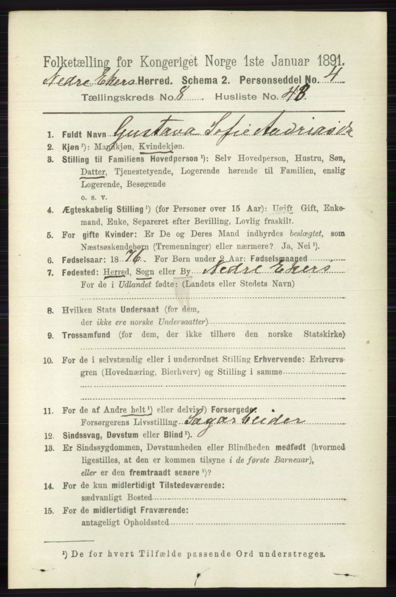 RA, 1891 census for 0625 Nedre Eiker, 1891, p. 4227