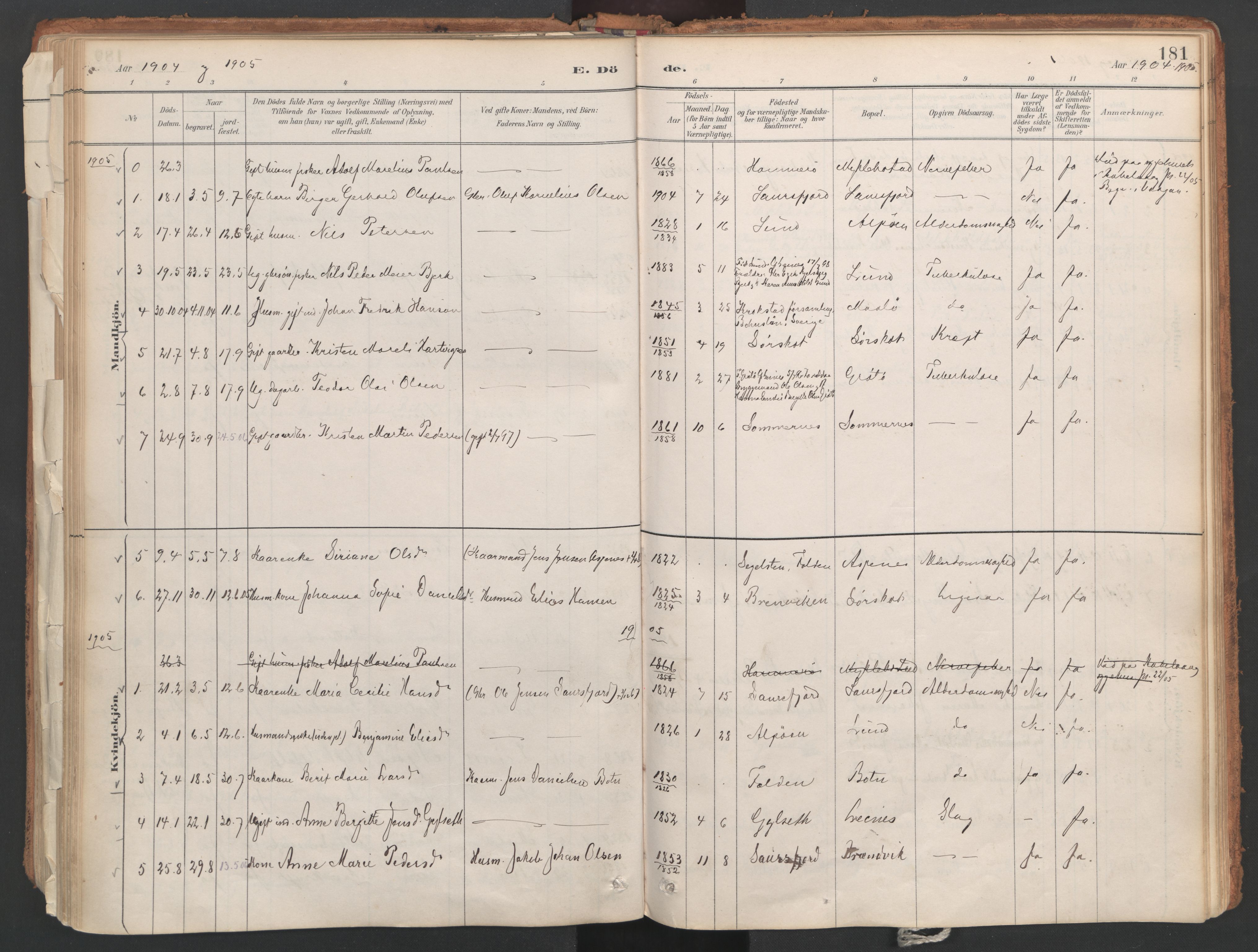 Ministerialprotokoller, klokkerbøker og fødselsregistre - Nordland, SAT/A-1459/857/L0822: Parish register (official) no. 857A02, 1890-1917, p. 181